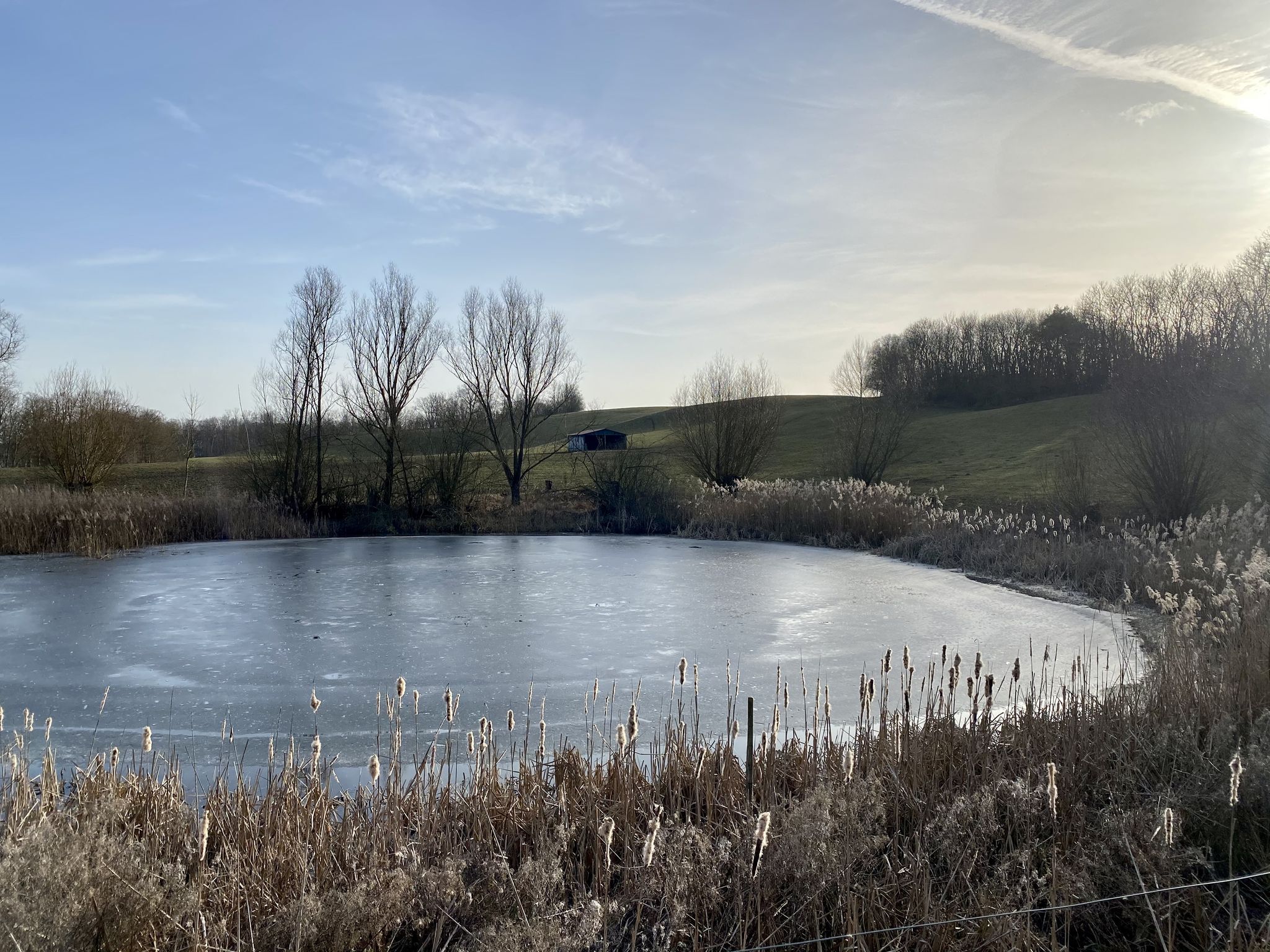 Der Mühlenberg