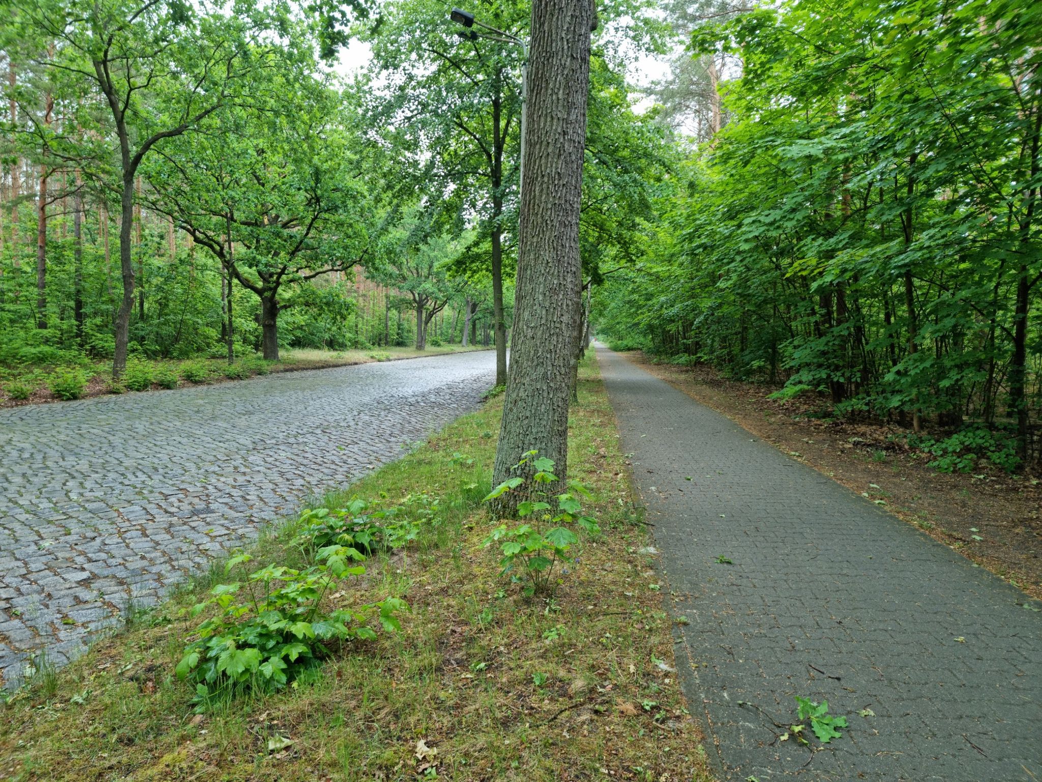 Godbersenstraße