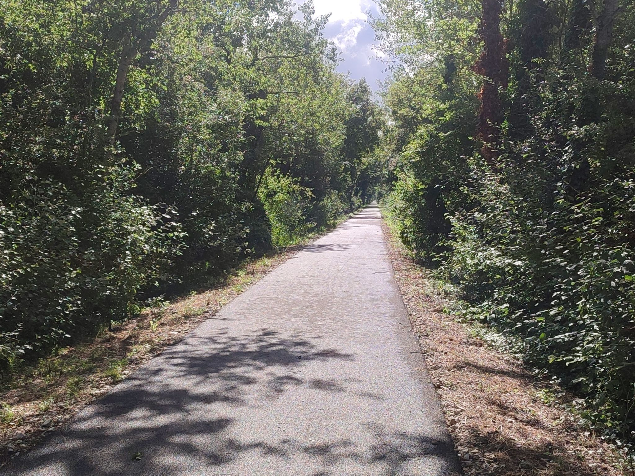 Bahntrassenradweg