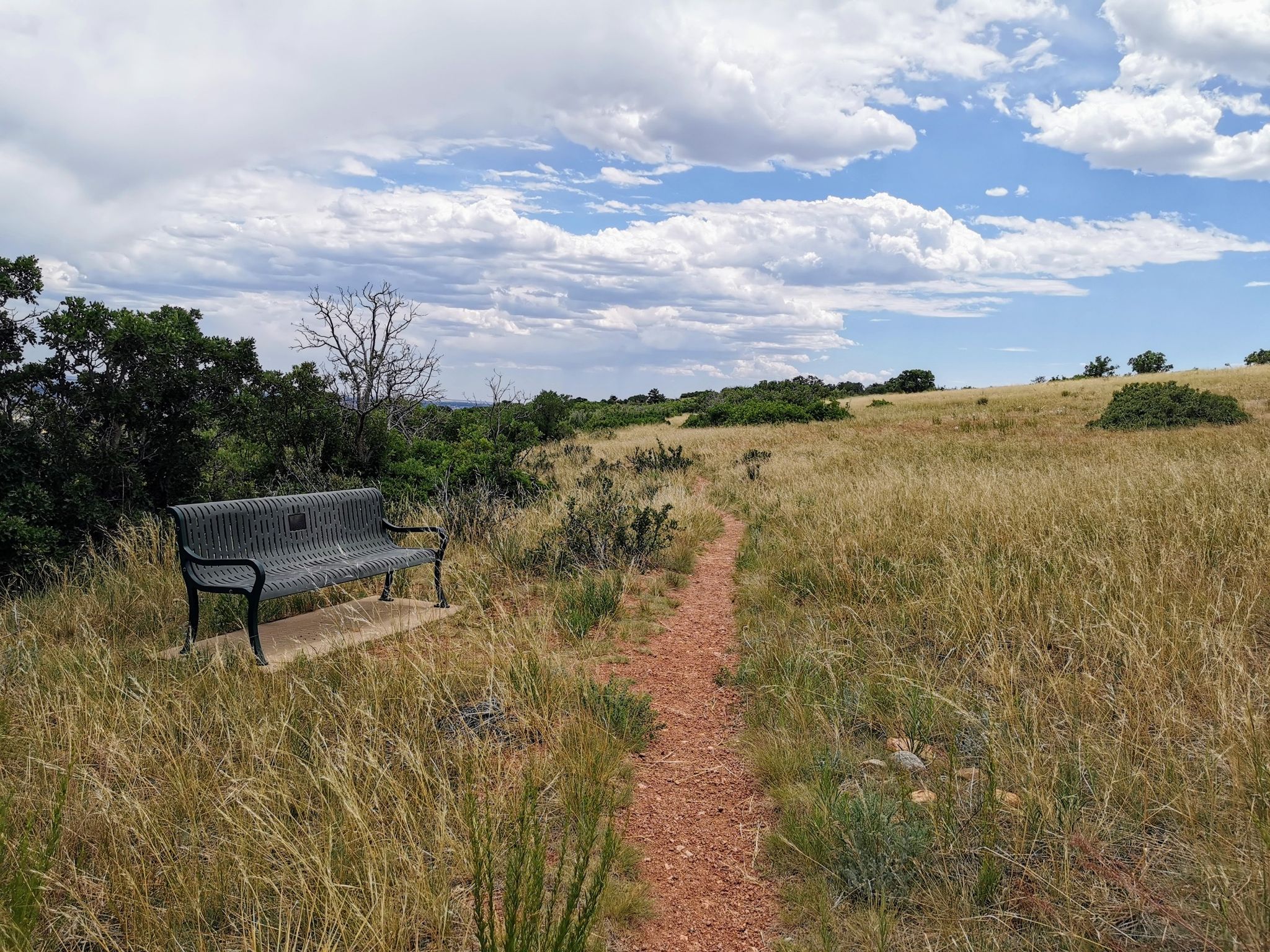 A metal bench sits beside a dirt path in a vast, grassy field. - Coyote Gulch Loop