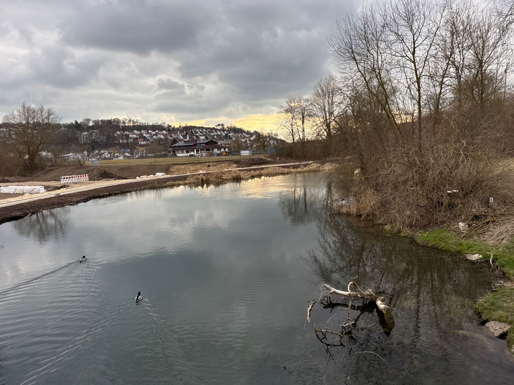 die Blau