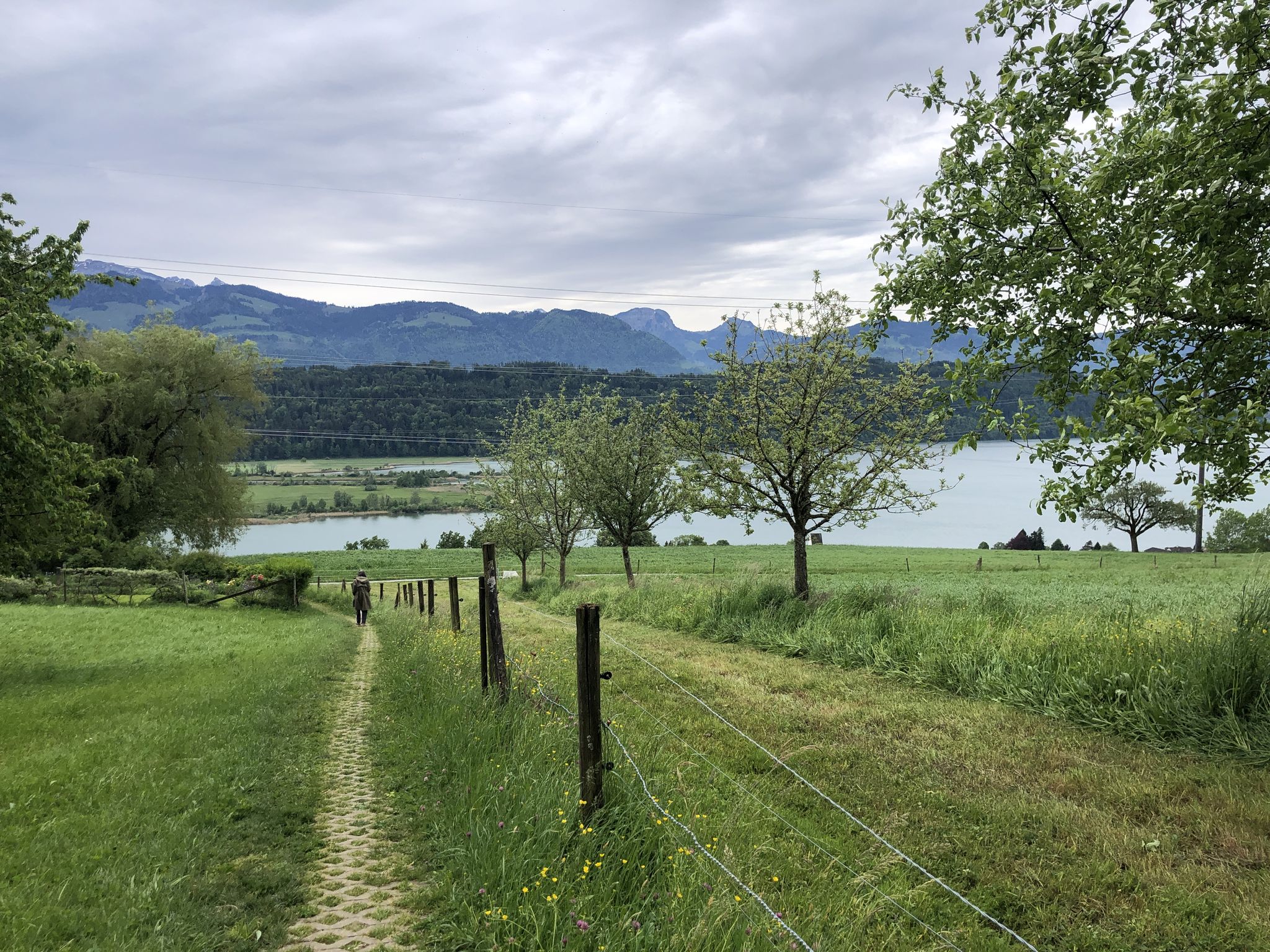 Blick aufs Linth-Delta in den Obersee