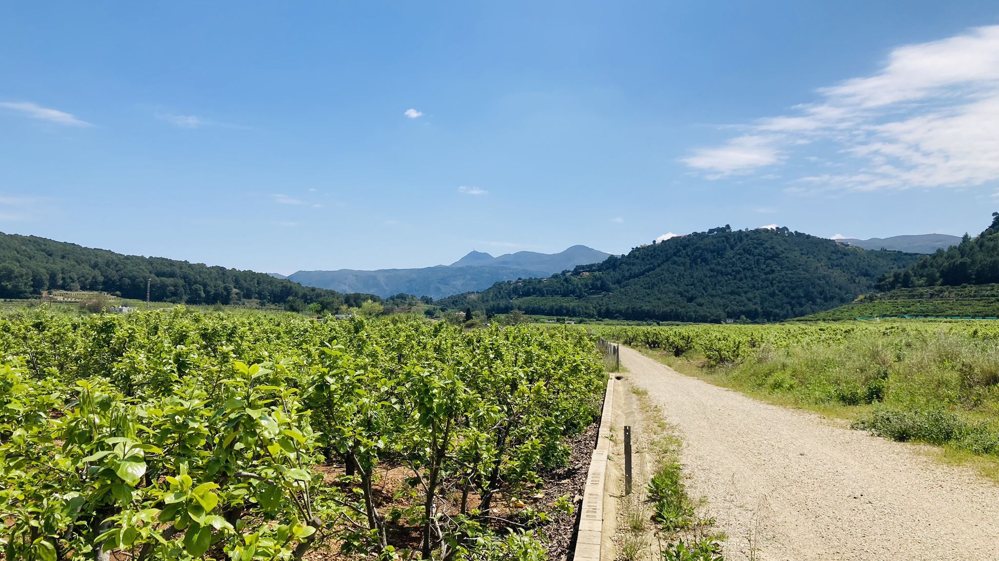 Vía Verde de l'Antic Trenet