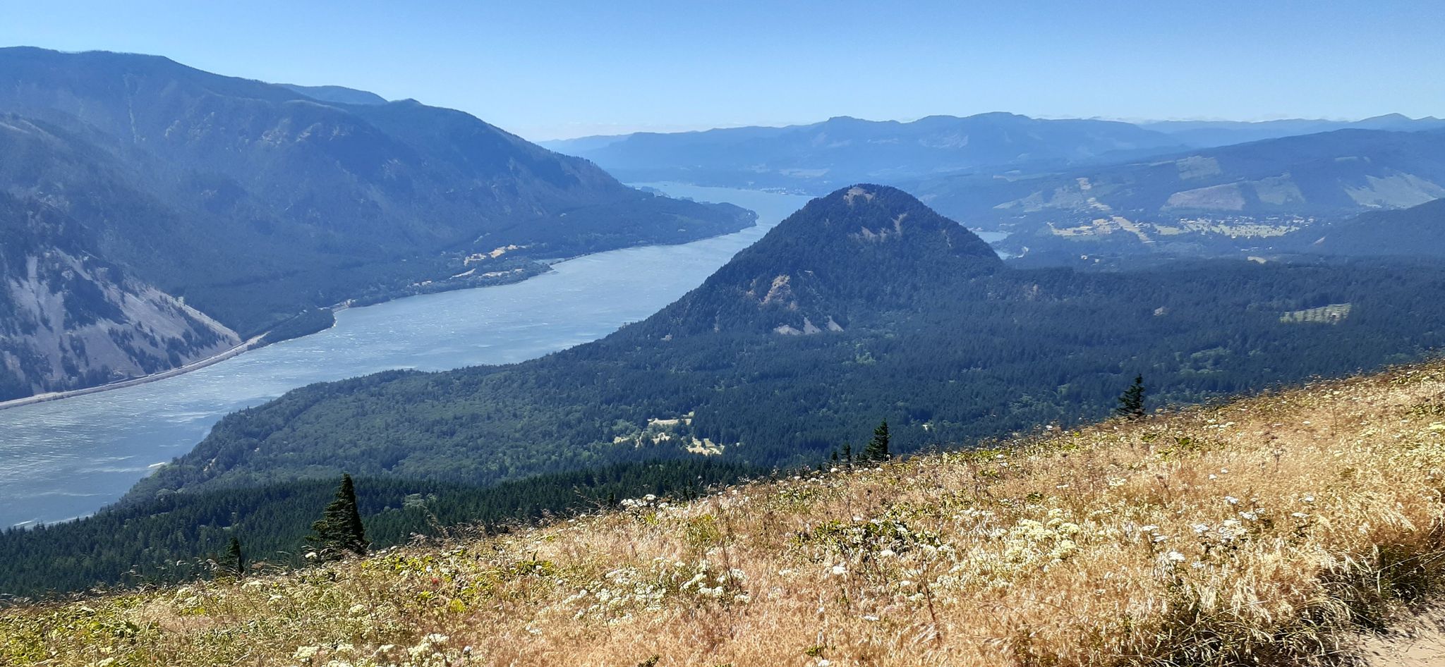 Panoramic view of a wide river winding through forested mountains on a clear day. - Dog Mountain Trail