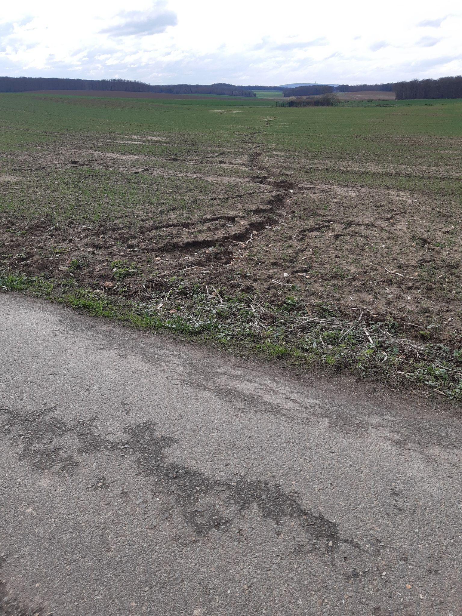 Ruissellement qui continue dans le champ