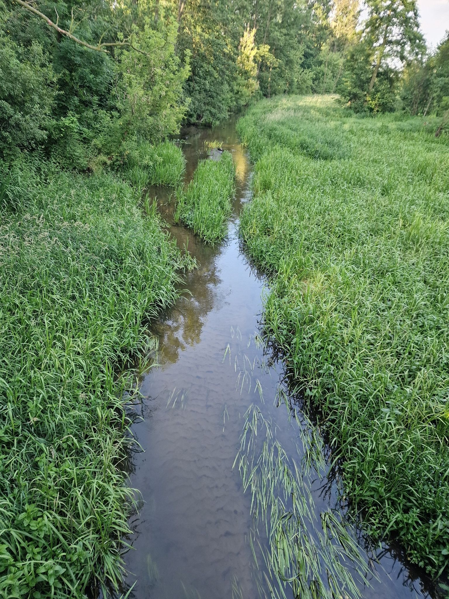 Skierniewka