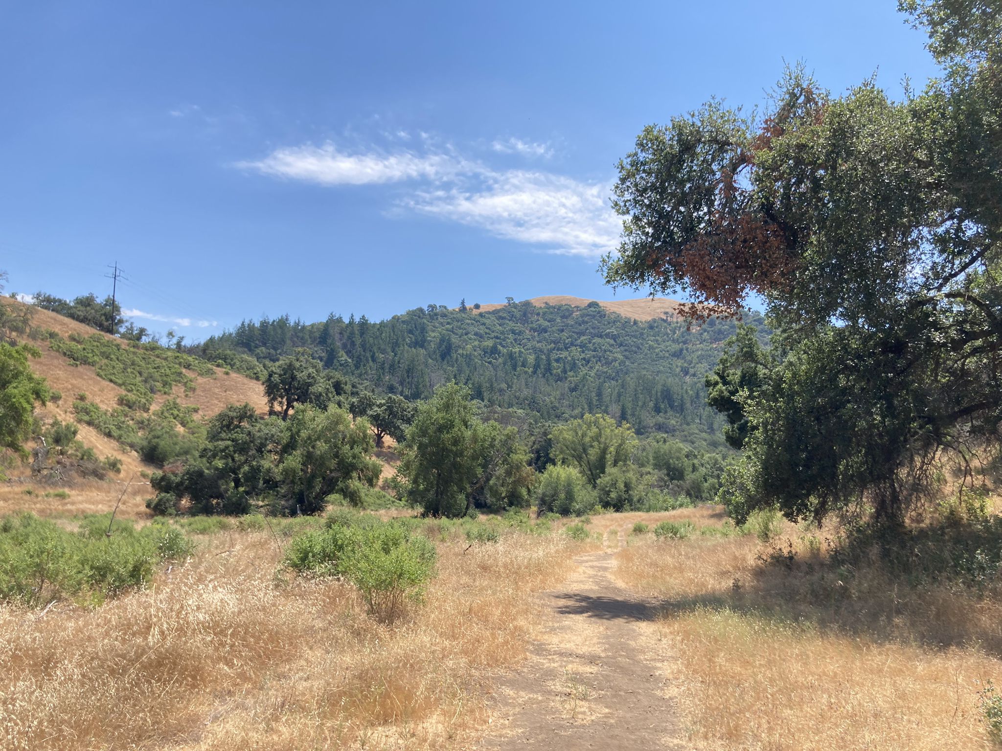 A dirt path through dry golden grass towards forested hills on a sunny day. - Meadow Trail and Vista Trail Loop