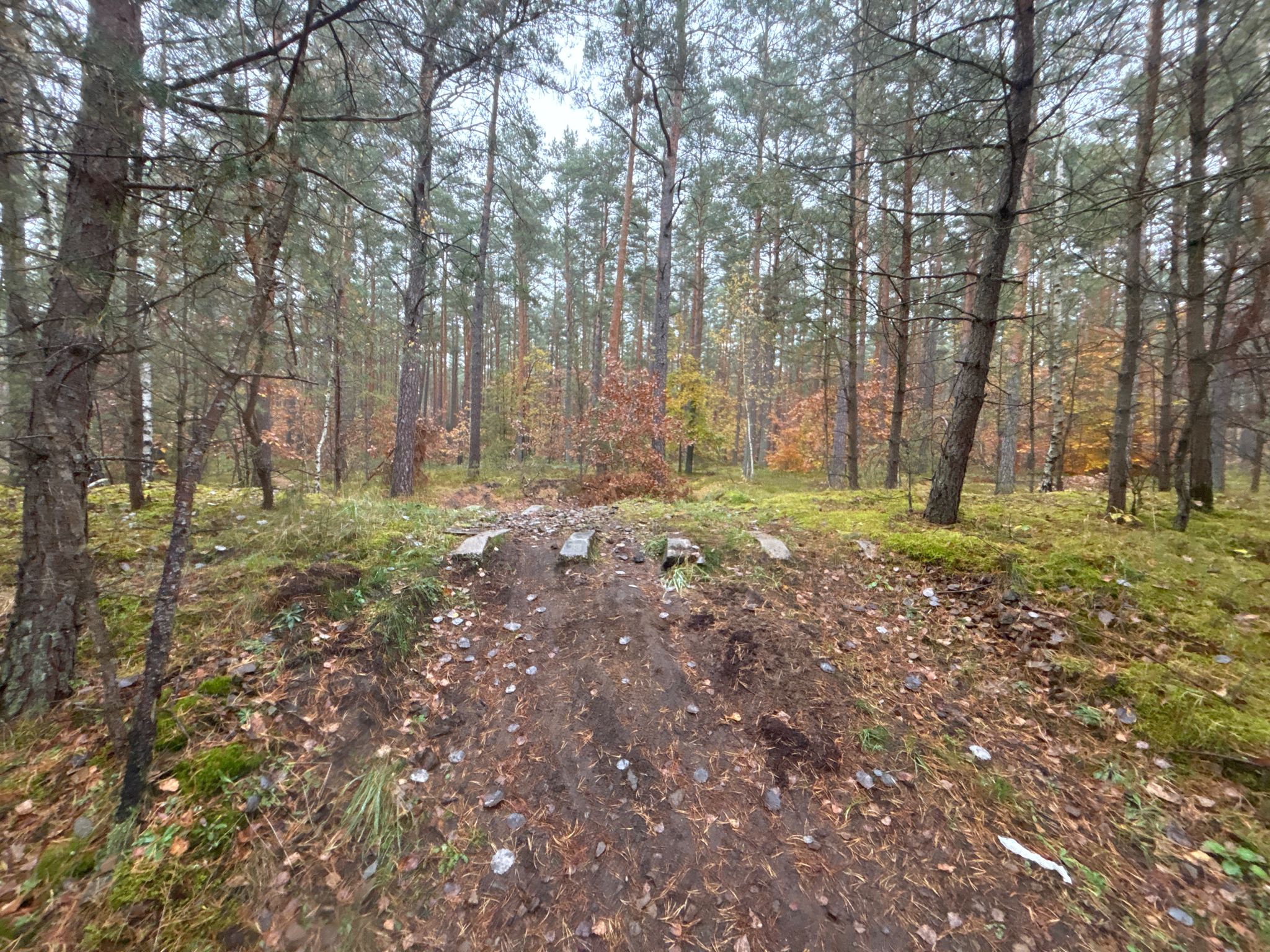 pozostałości torów kolejowych