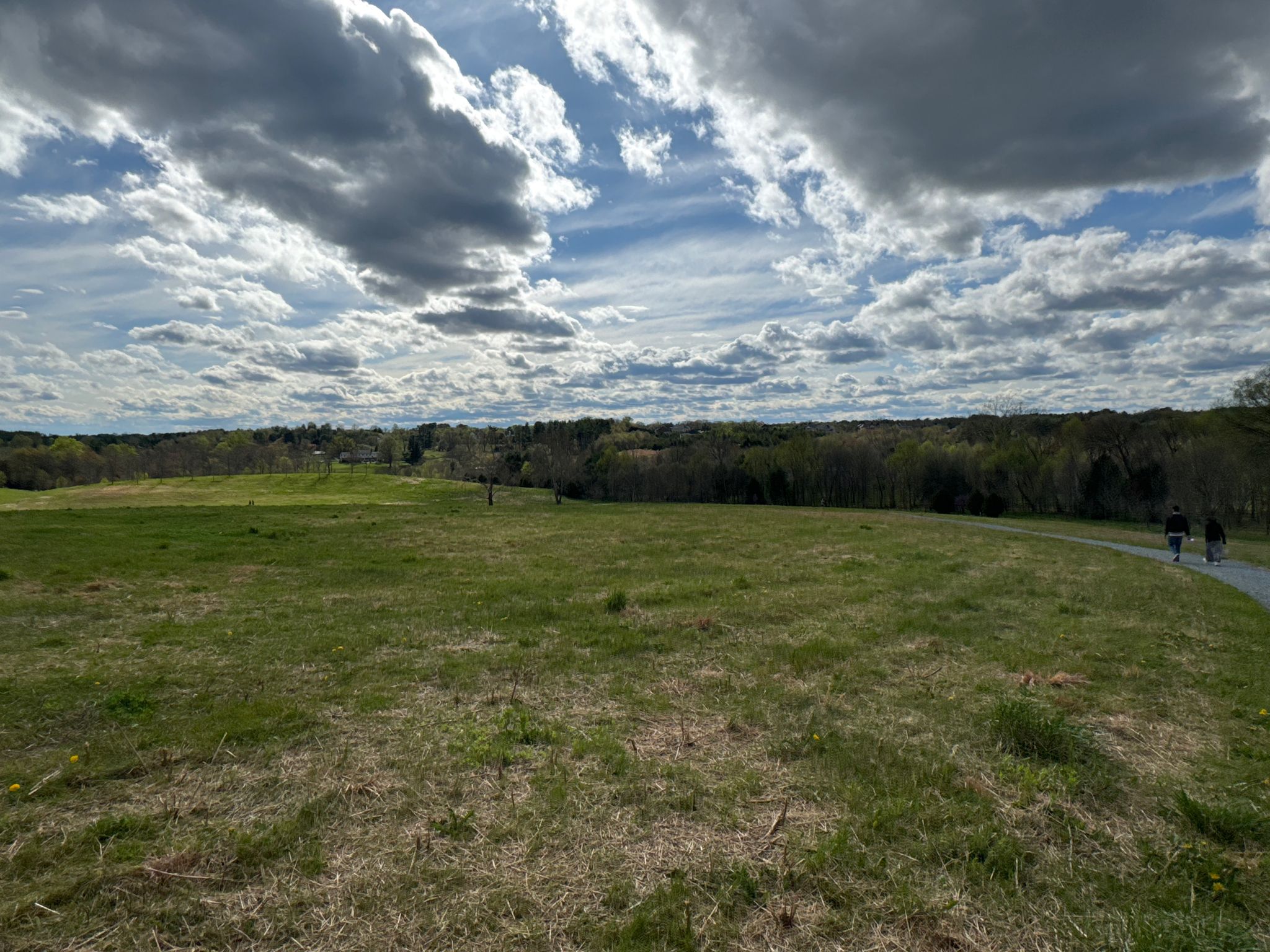Wide green field with distant people walking under a cloudy sky. - Glenstone Museum Woodland Trail