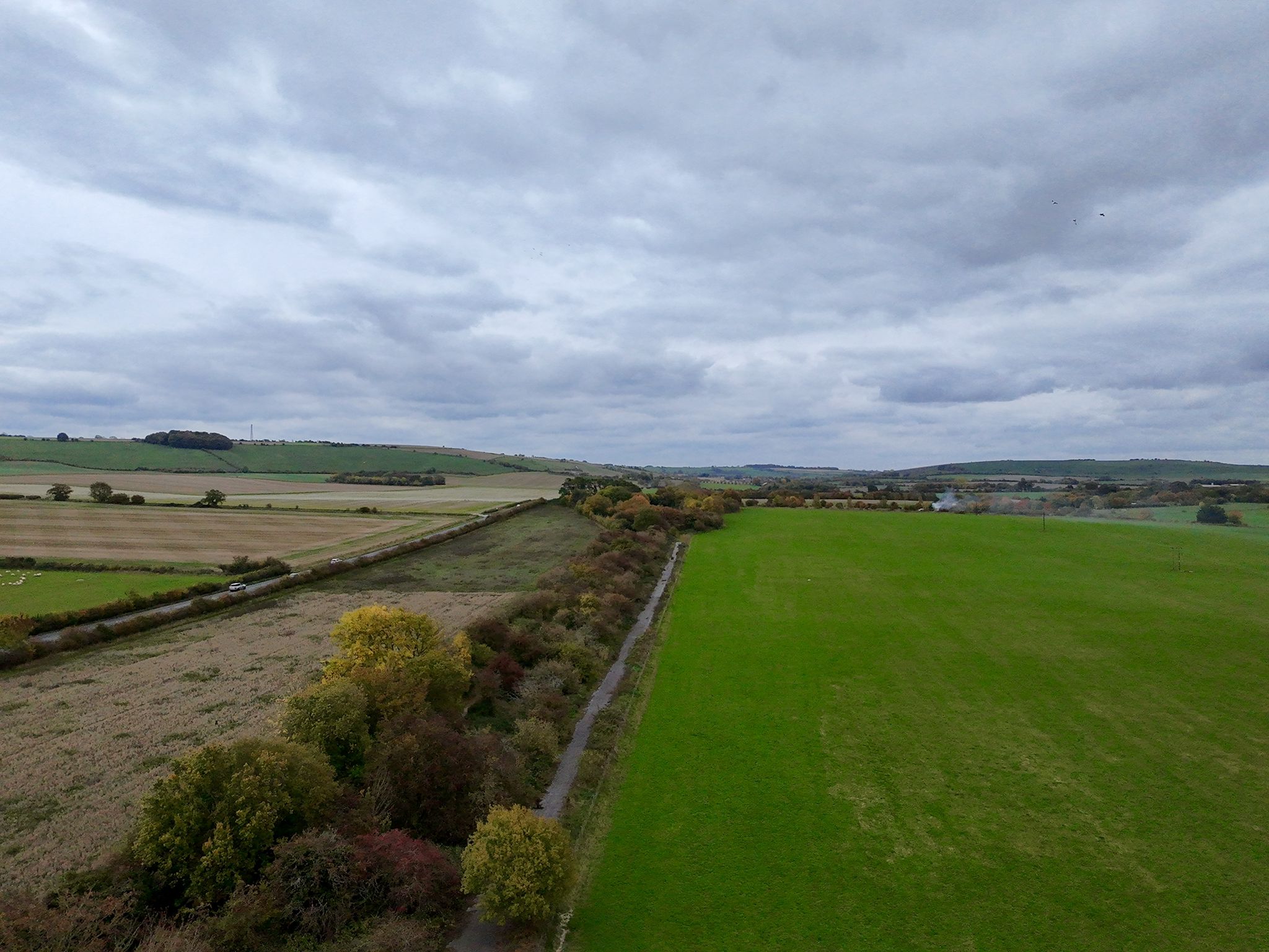 The tree lined route running parallel with the farm track
