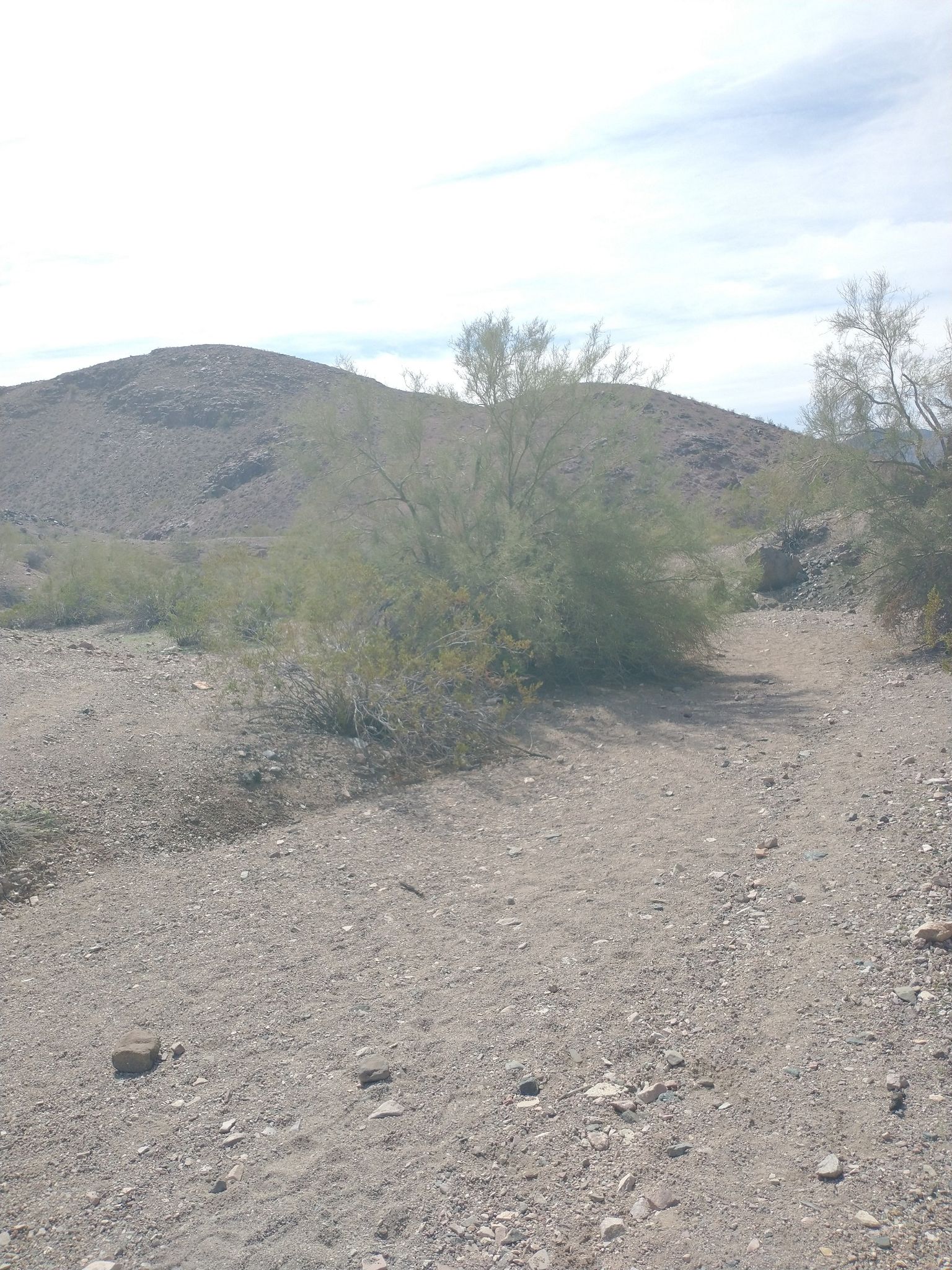 Our first trail photo