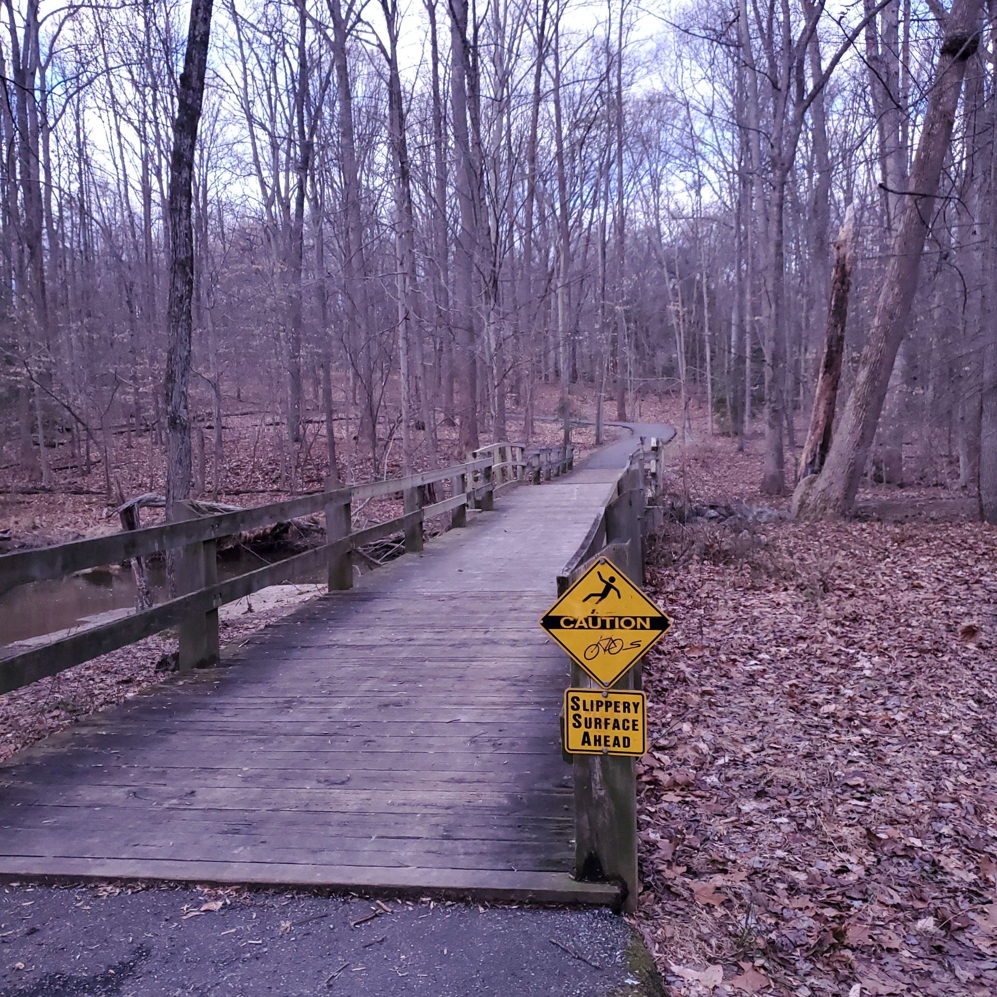 A wooden bridge with a 'slippery surface' warning sign in a bare winter forest. - Roadbike loop from Laurel
