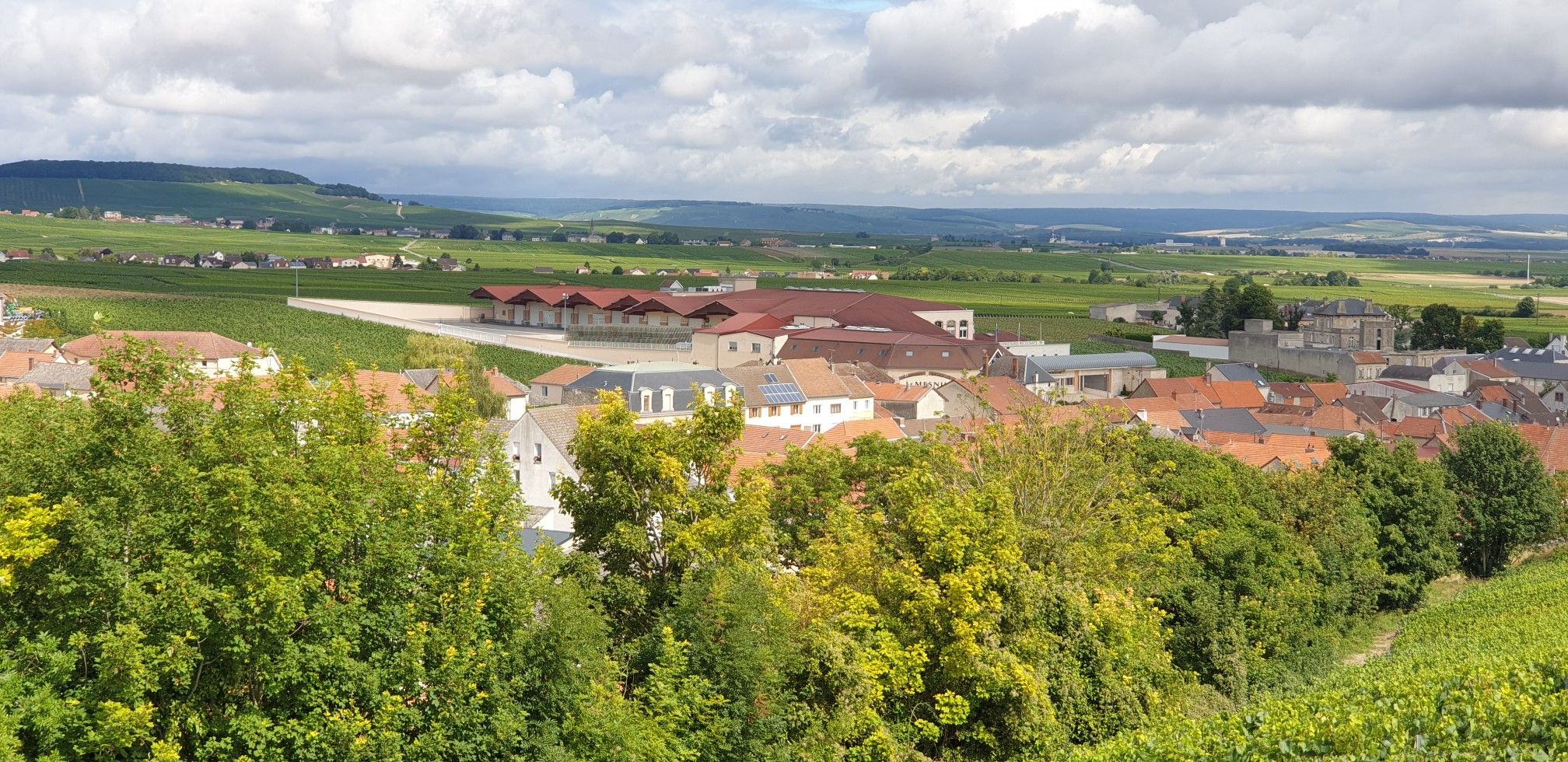 Coopérative Viticole du Mesnil 