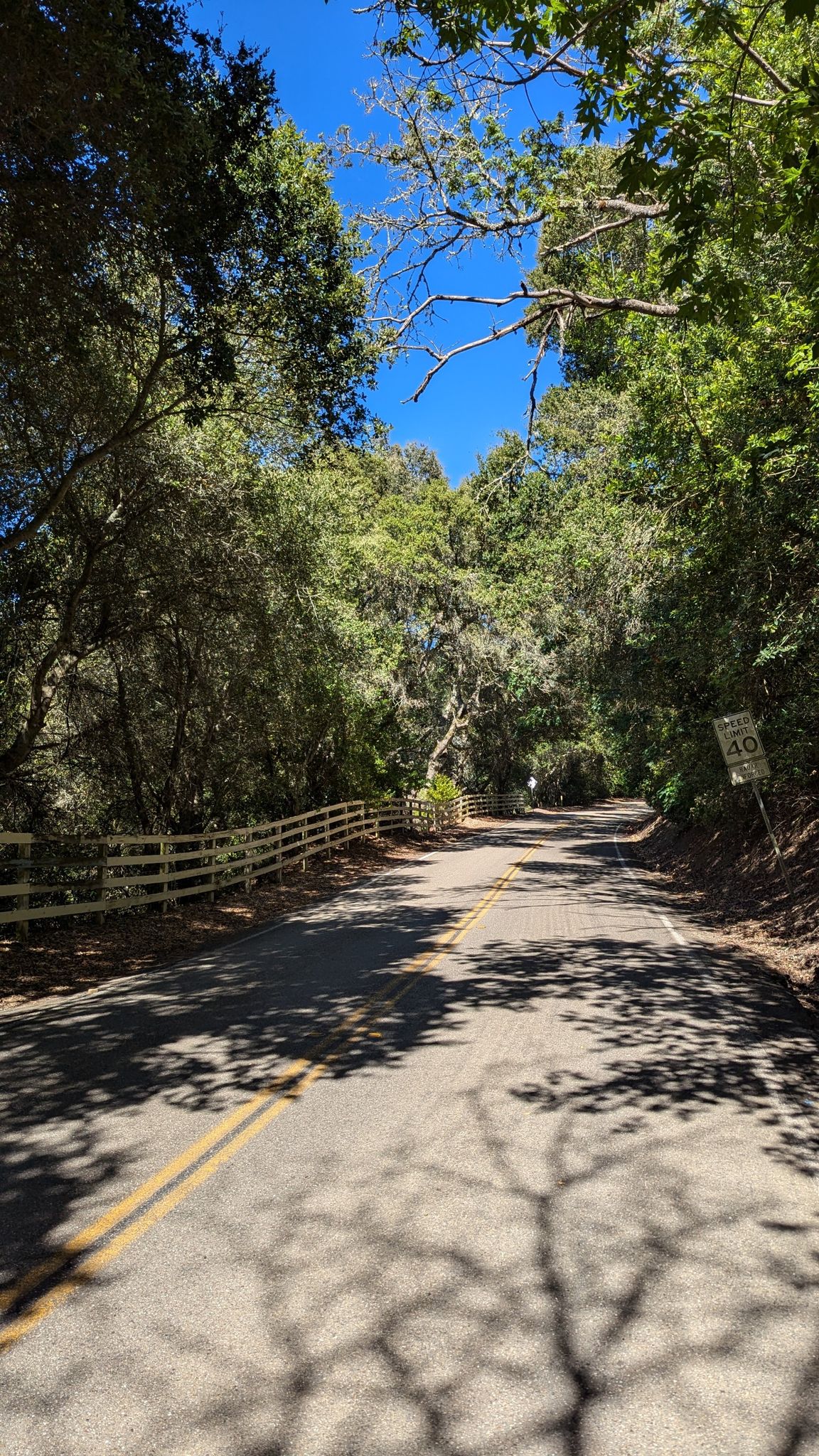 A shaded paved road winds through dense trees with a white wooden fence. - Palomares Road – Dublin Canyon Route loop from Bay Fair
