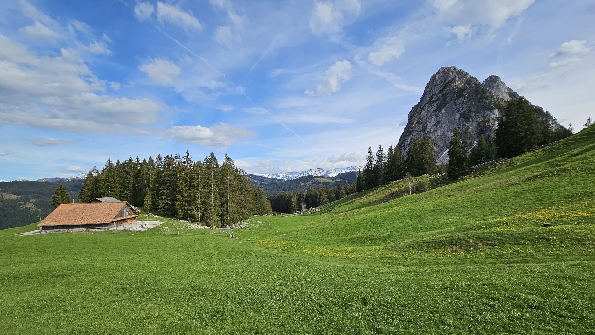 Alp Gummen.