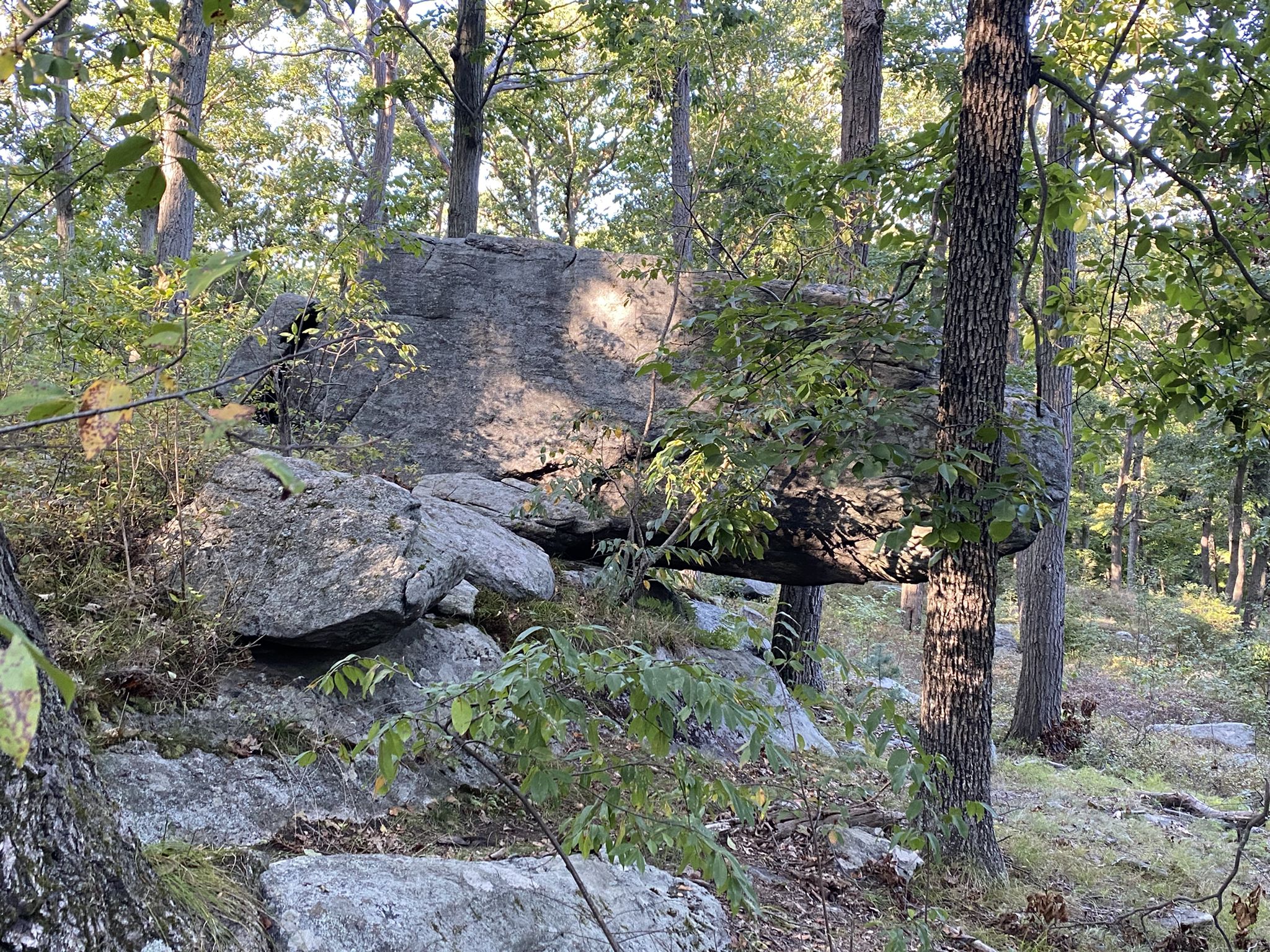 Large rock formations in a sunlit forest with green foliage. - Stockbridge Mountain and Lake Nawahunta