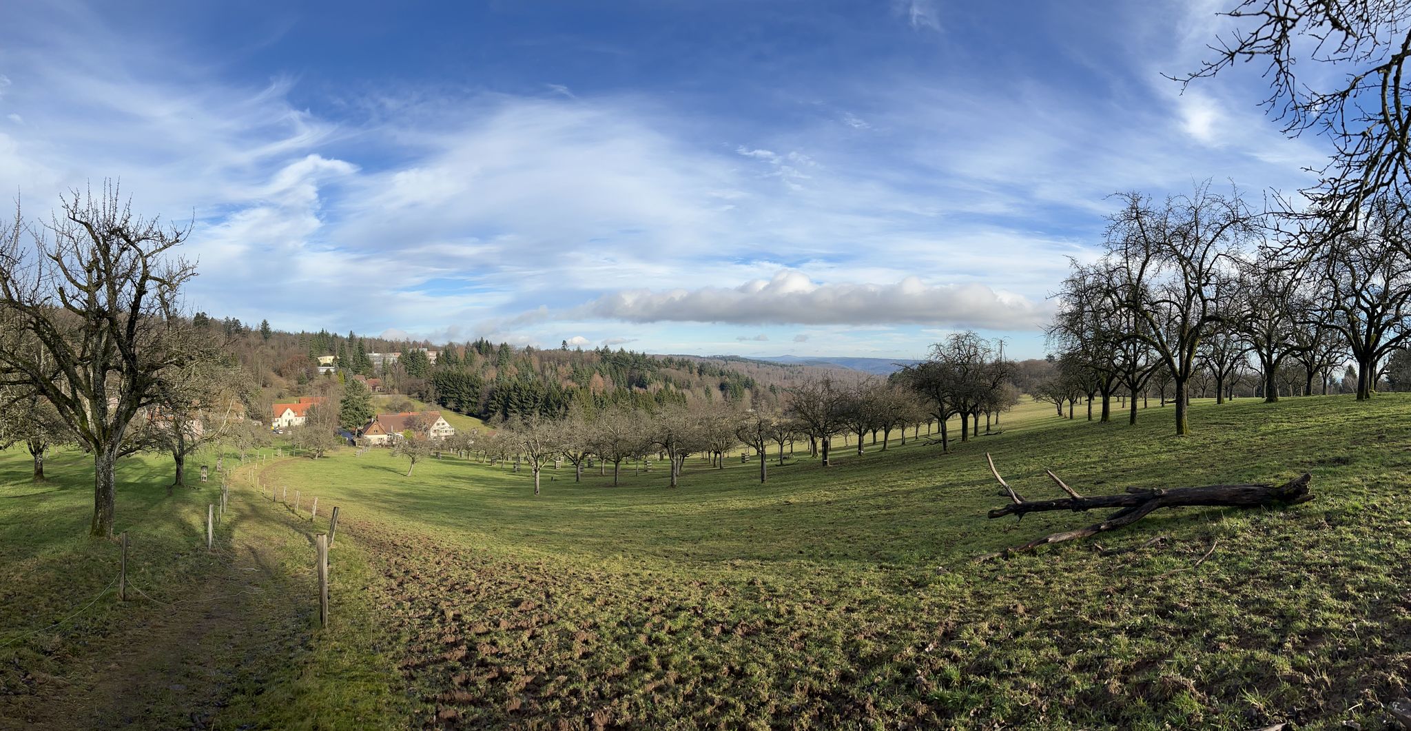 Kohlhof-Wiese