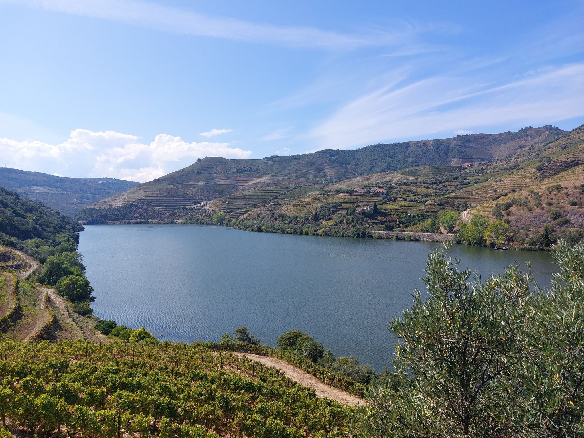 de machtige Douro