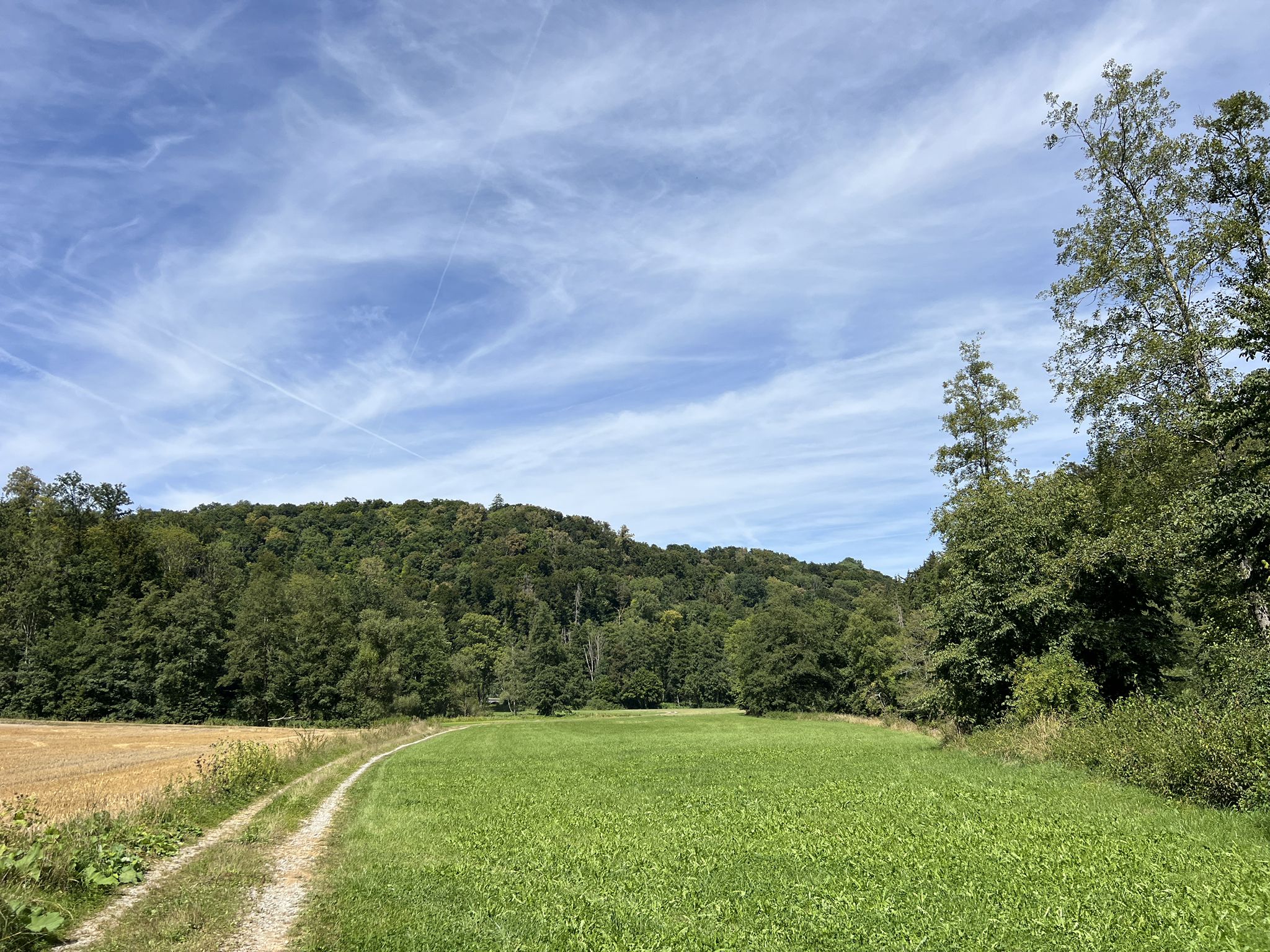 Im Unteren Bühlertal.