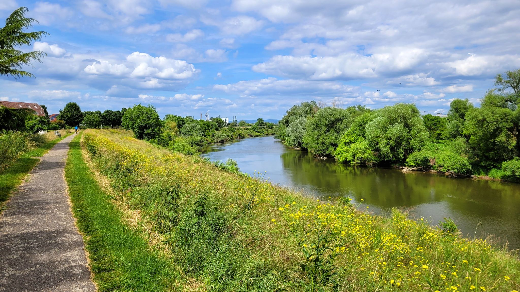 Neckardamm am Altneckar bei Ilvesheim mit tollem Panorama