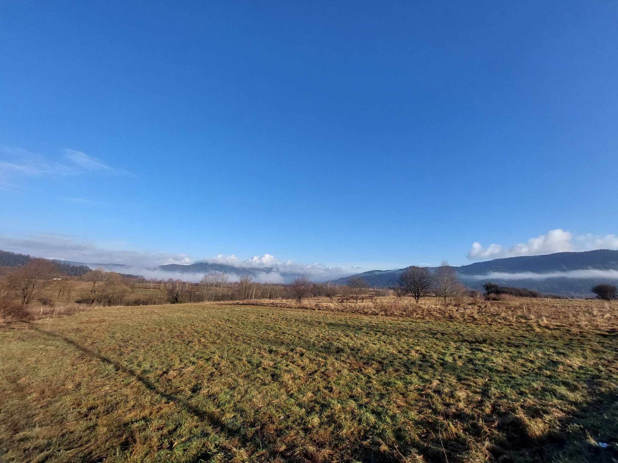 Na drodze Jeleśnia - Sopotnia; widok na północny-zachód