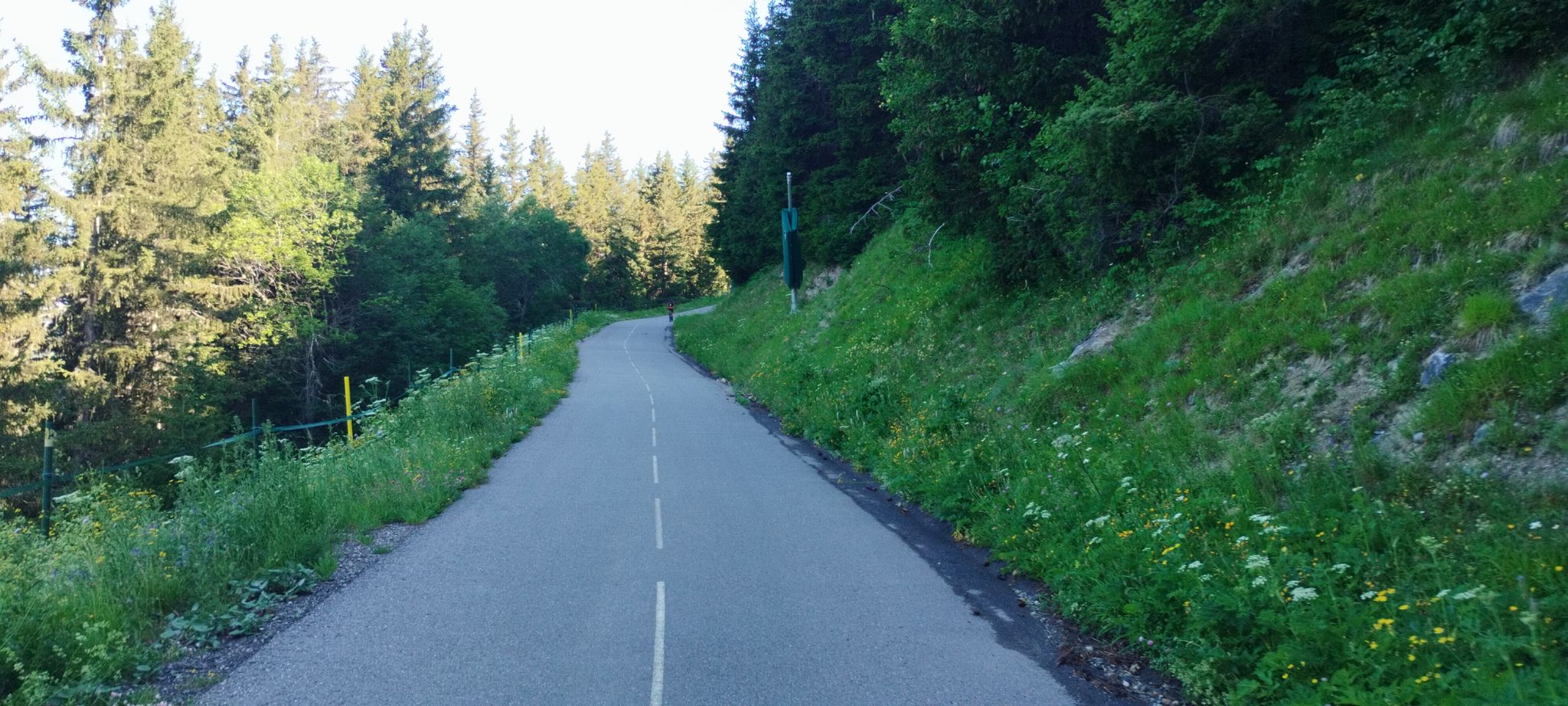 Anstieg Radweg zum Col de la Loze 