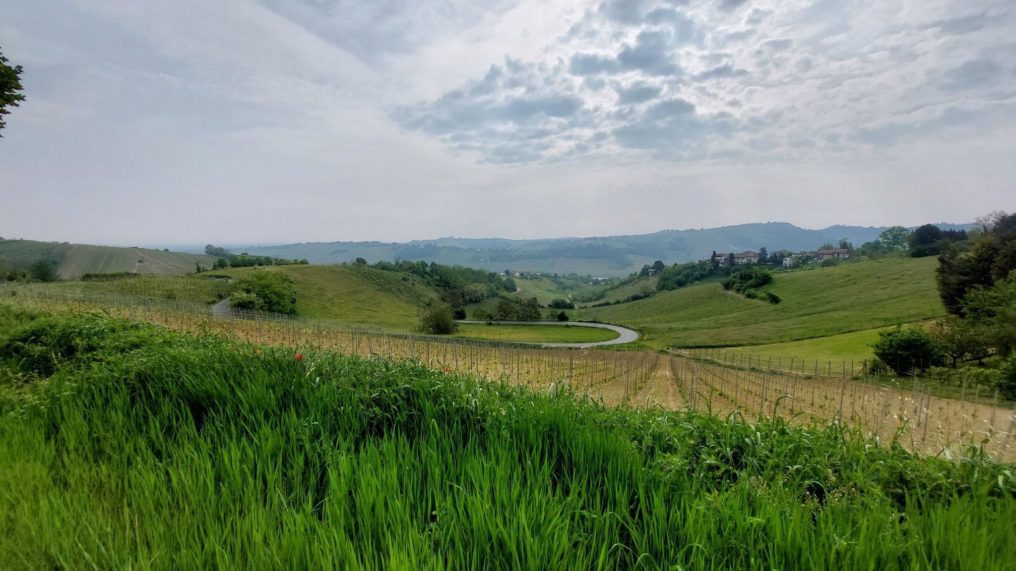 Paesaggi attraversati: oltrepò pavese