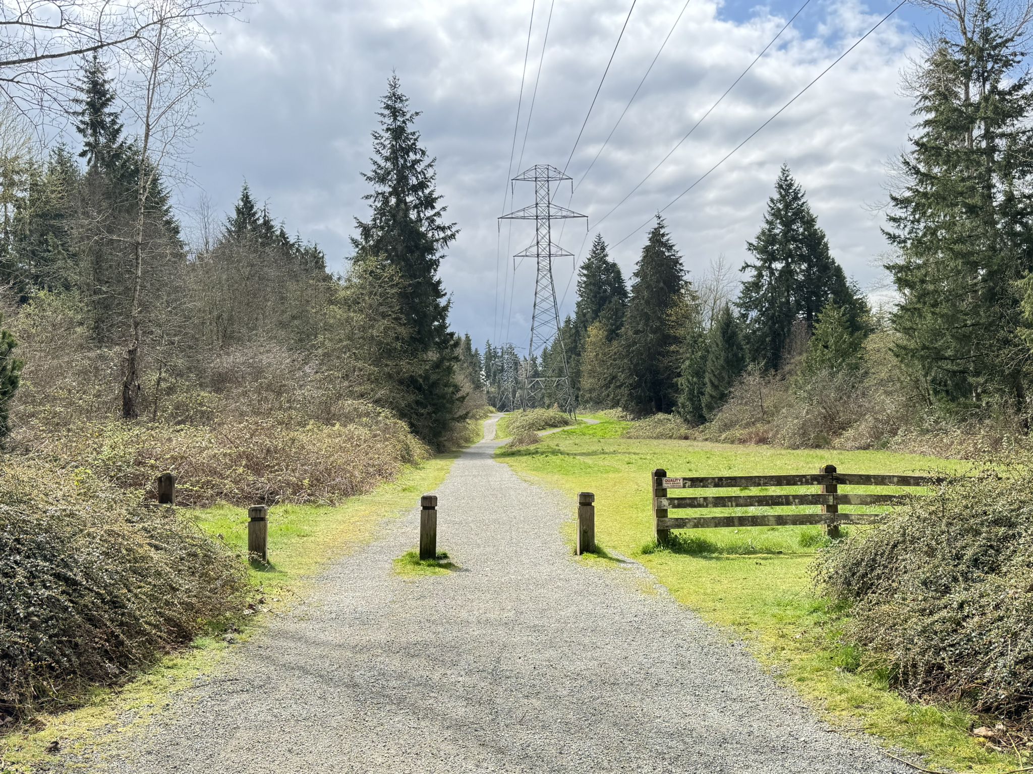 Gravel path through a forest clearing under an overcast sky, with power lines. - Sammamish River Trail – Dudley Carter Park loop from Downtown Redmond