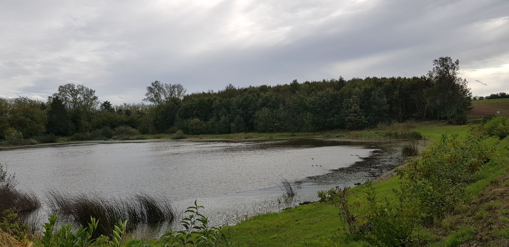 Kleine Talsperre Falka