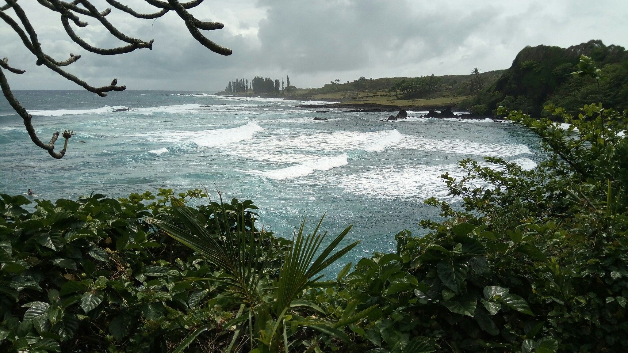 Overcast ocean view with breaking waves, green foliage in foreground. - Hāmoa Beach loop from Mokae