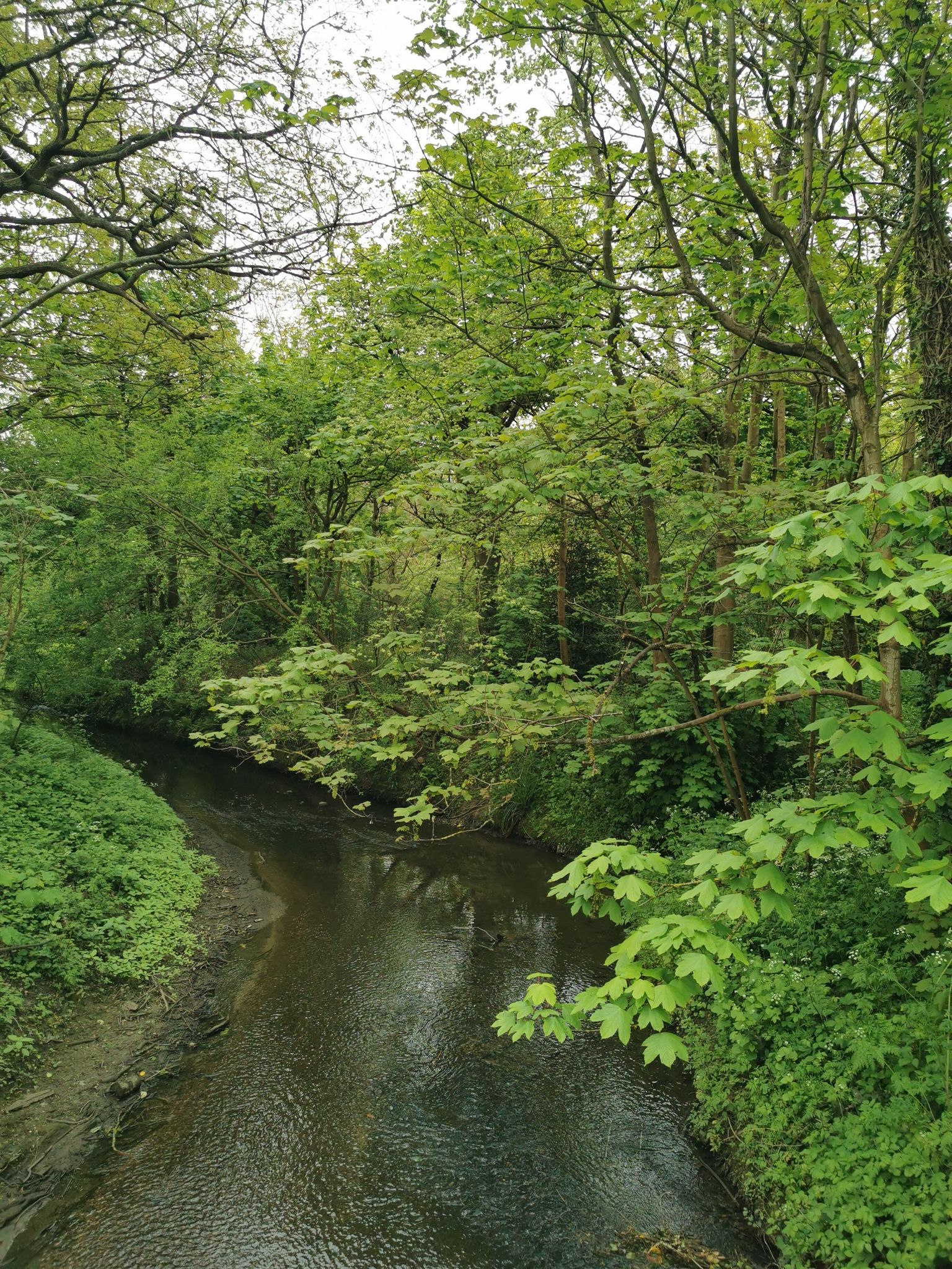 river