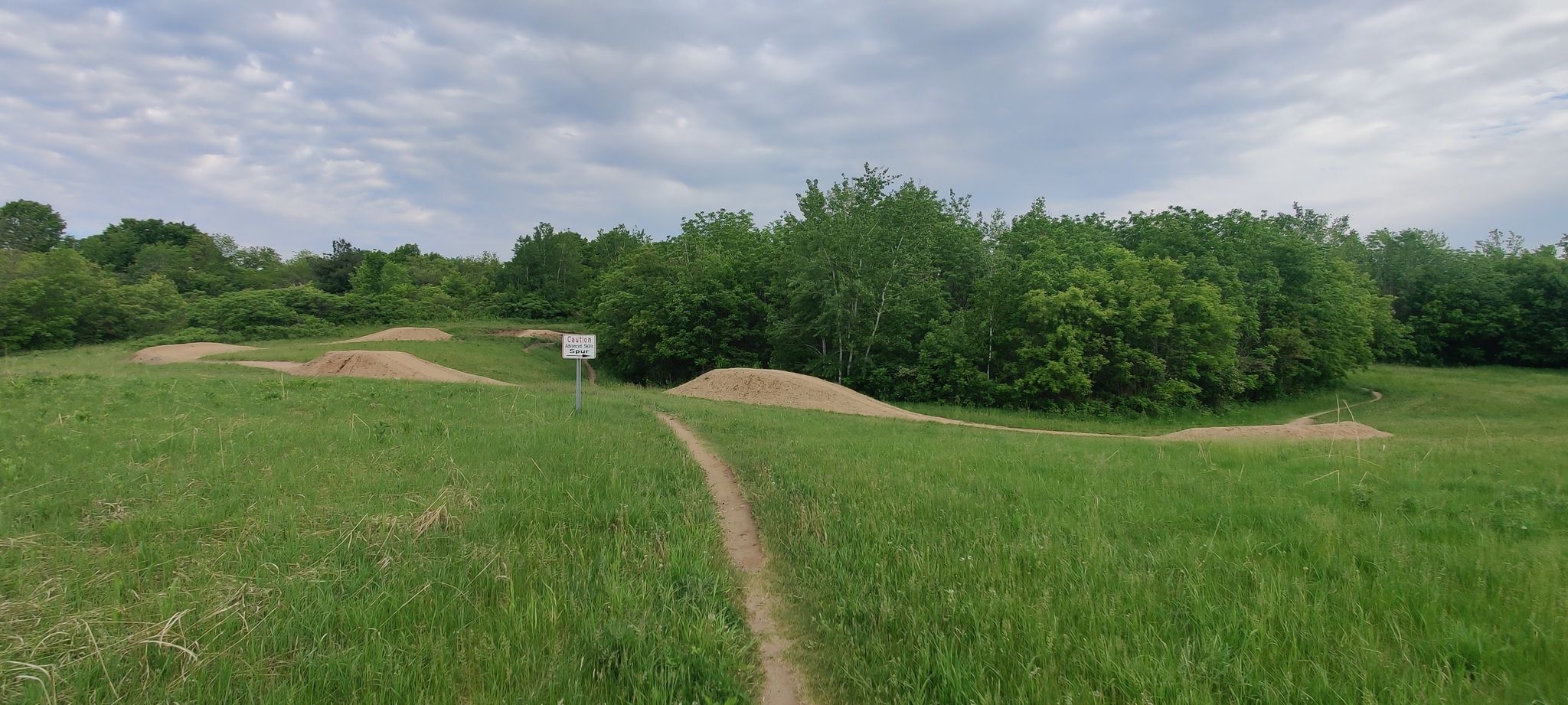 Dirt path leads to multiple dirt mounds in a green field, forest in background. - Salem Hills Trail