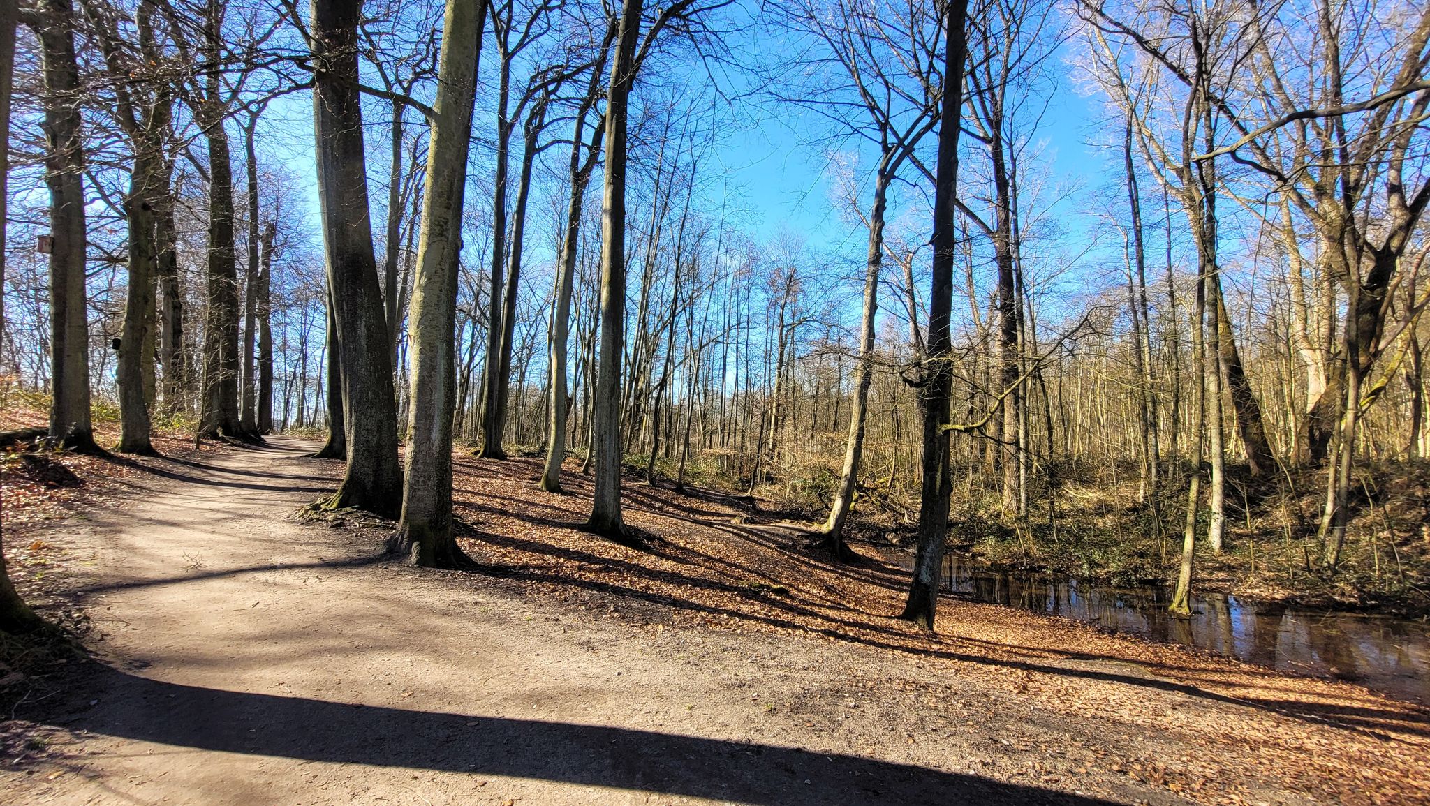 Aus erhöhter Position hat man einen guten Blick auf Koppenburgs Mühlenbach