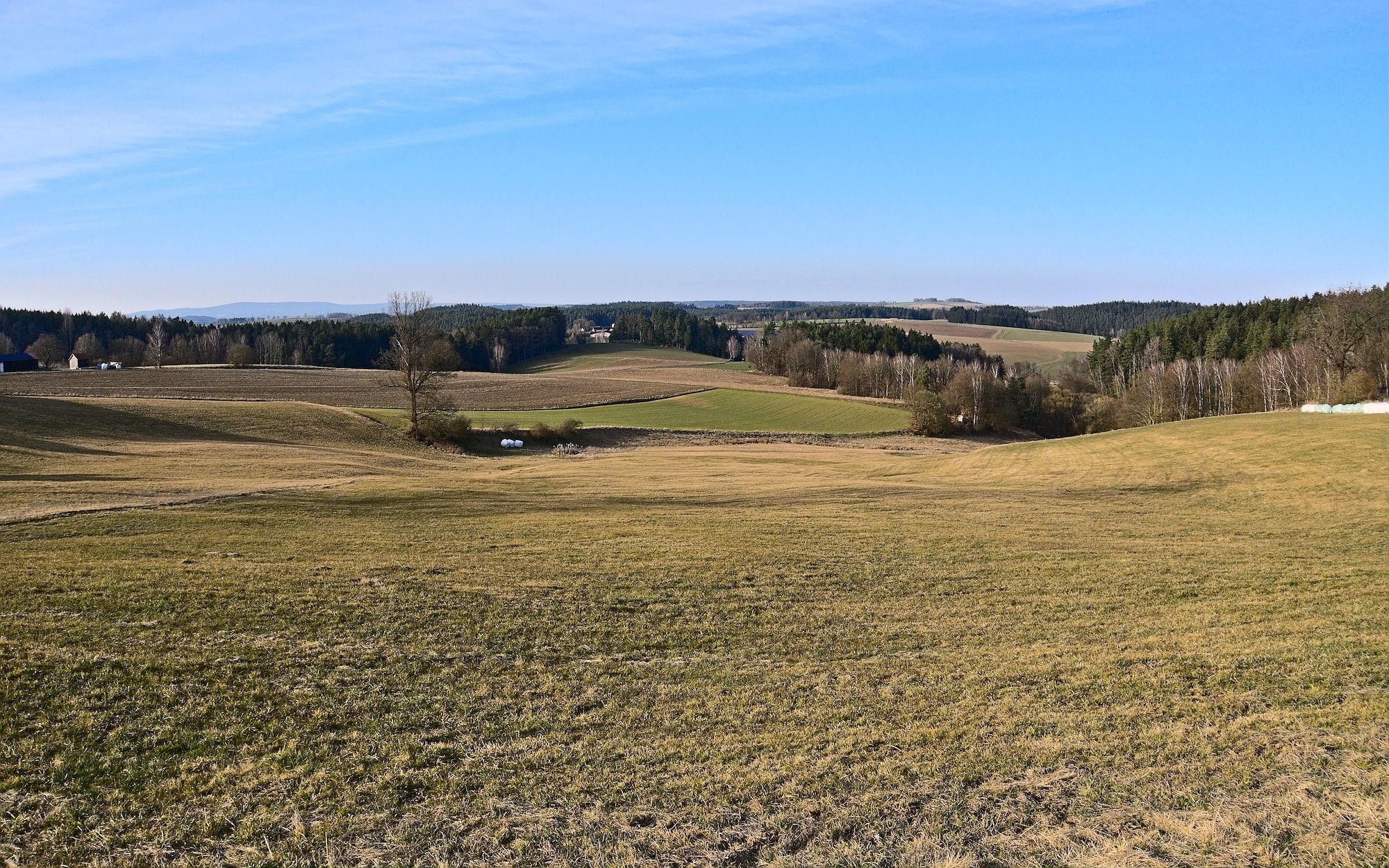 ... auf der Fahrt nach Wilchenreuth (Gemeinde Theisseil)