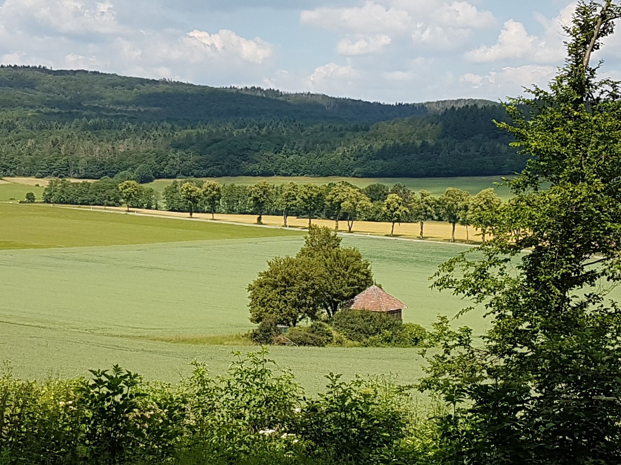 Blick ins Urfftal