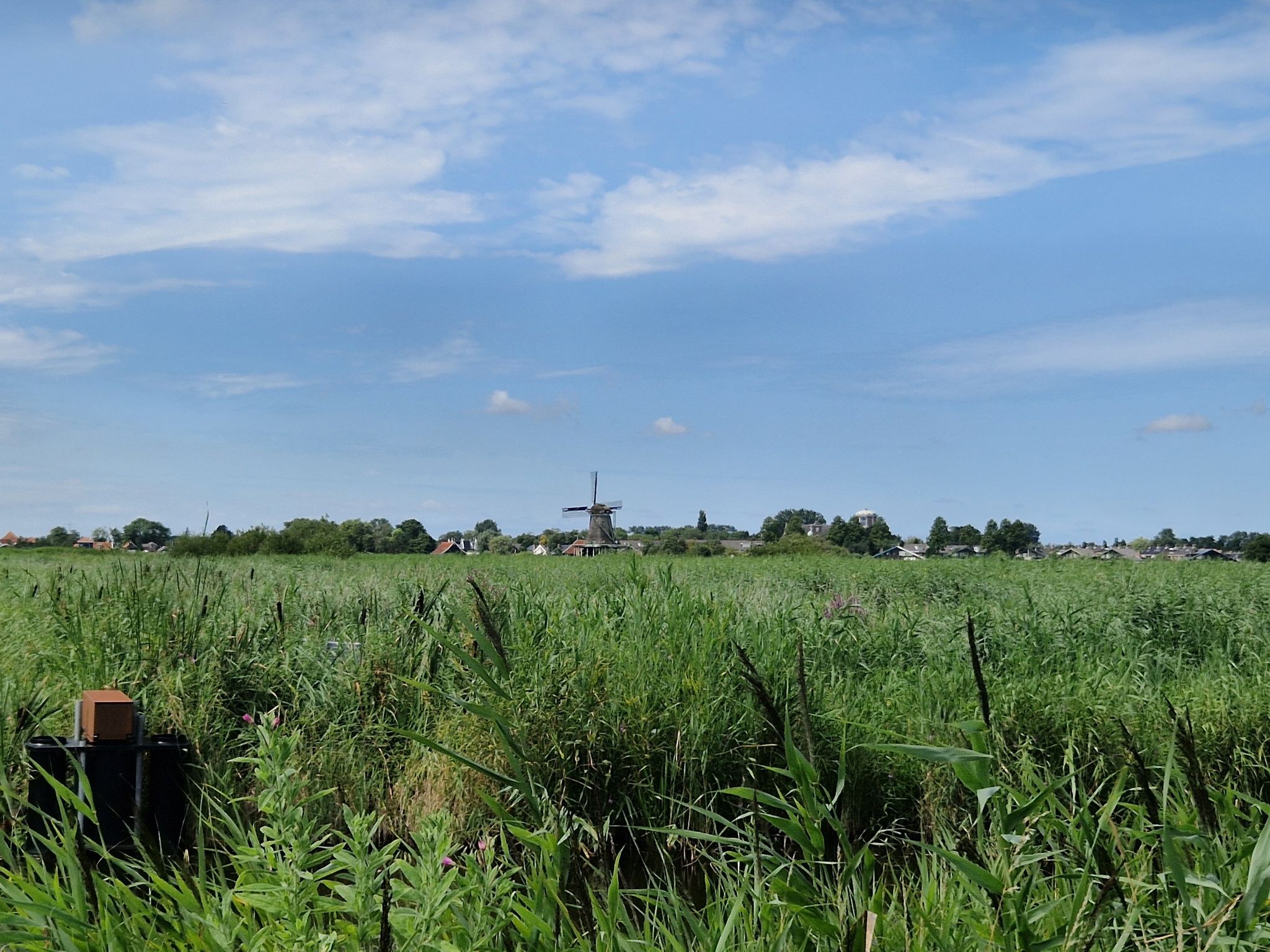 Westzaan
