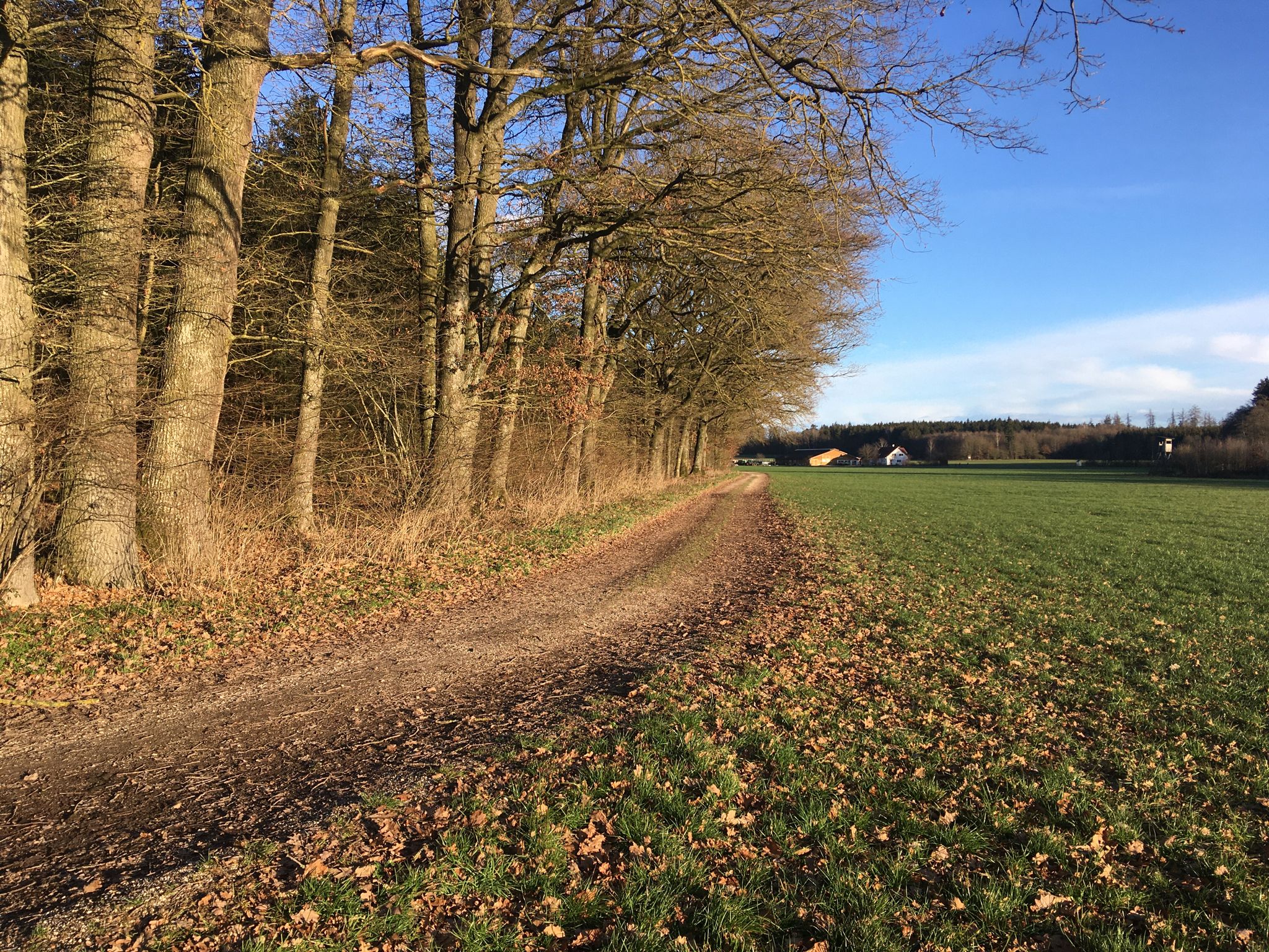 Blick aus Westen