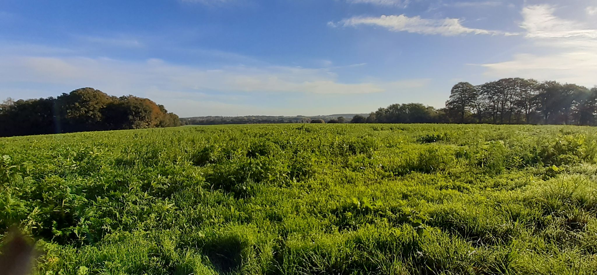 Blick Richtung Barrien