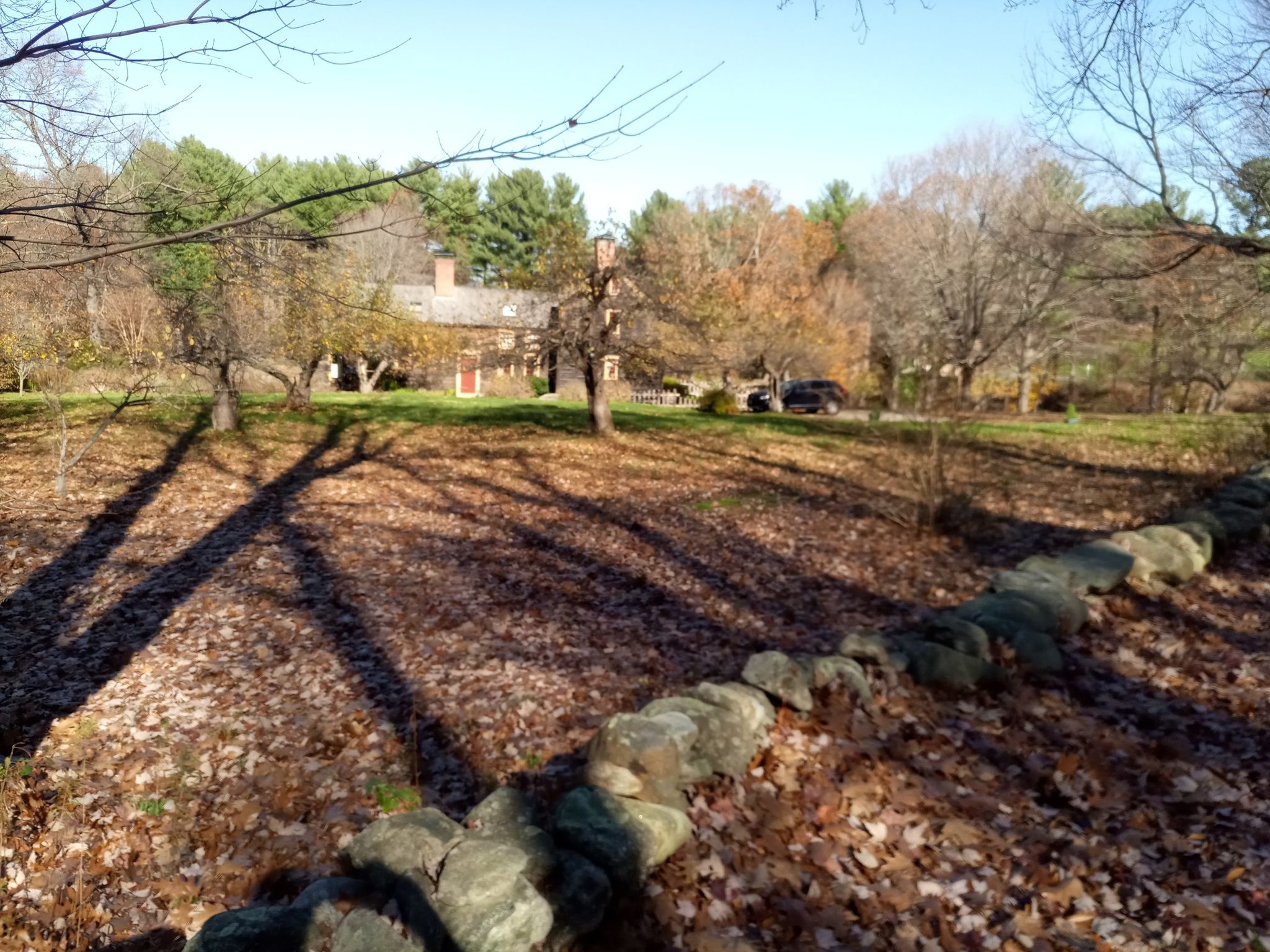 A sunny autumn landscape with a stone wall and distant house. - Harvard General Store – Shaker Settlement Ruins loop from Littleton