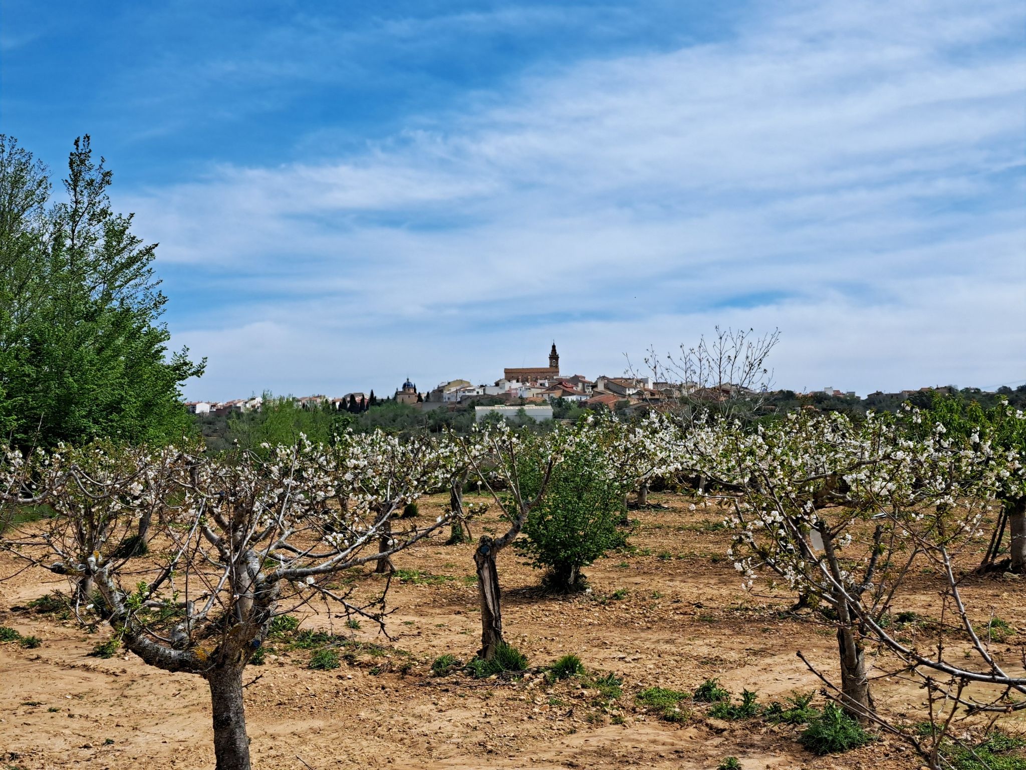 Bick auf Vilanova d'Alcolea