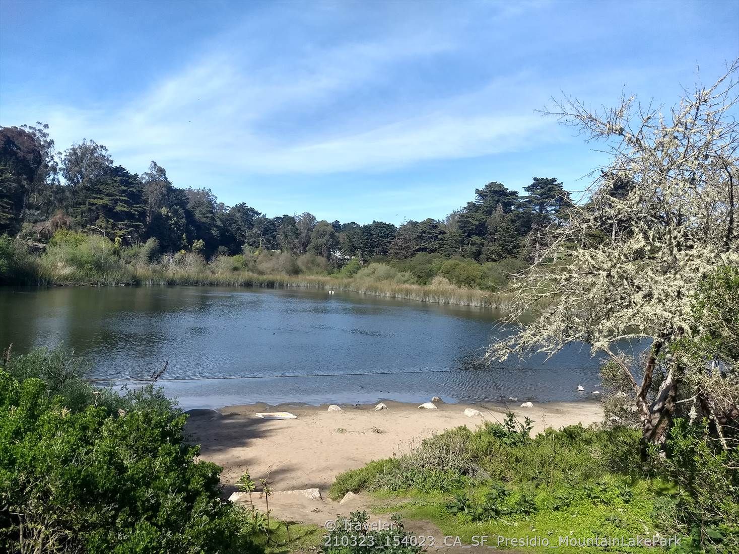 Serene lake surrounded by dense trees and sandy shore under a blue sky. - Chinatown (Dragon Gate entrance) – Union Square loop from Chinatown-Rose Pak