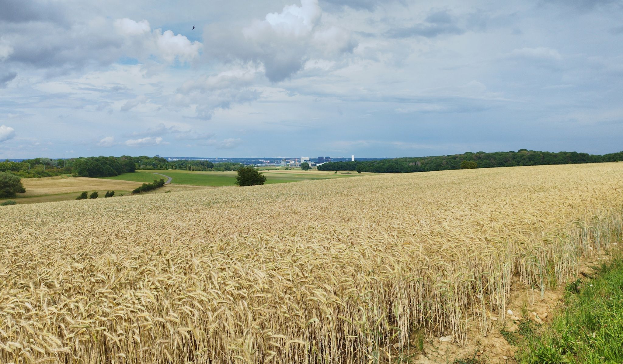 Luxemburg in der Ferne