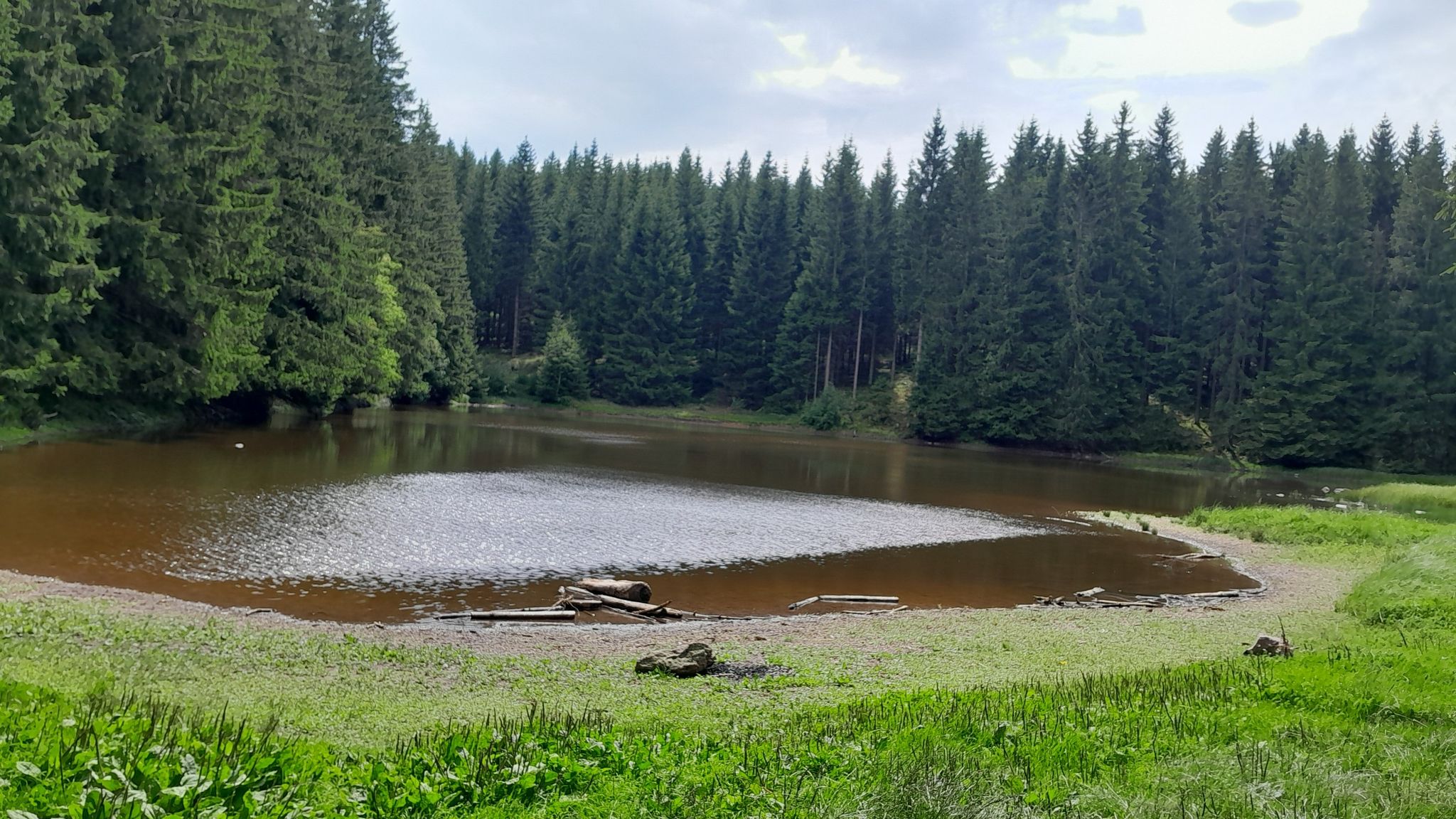 Stieglitz Teich