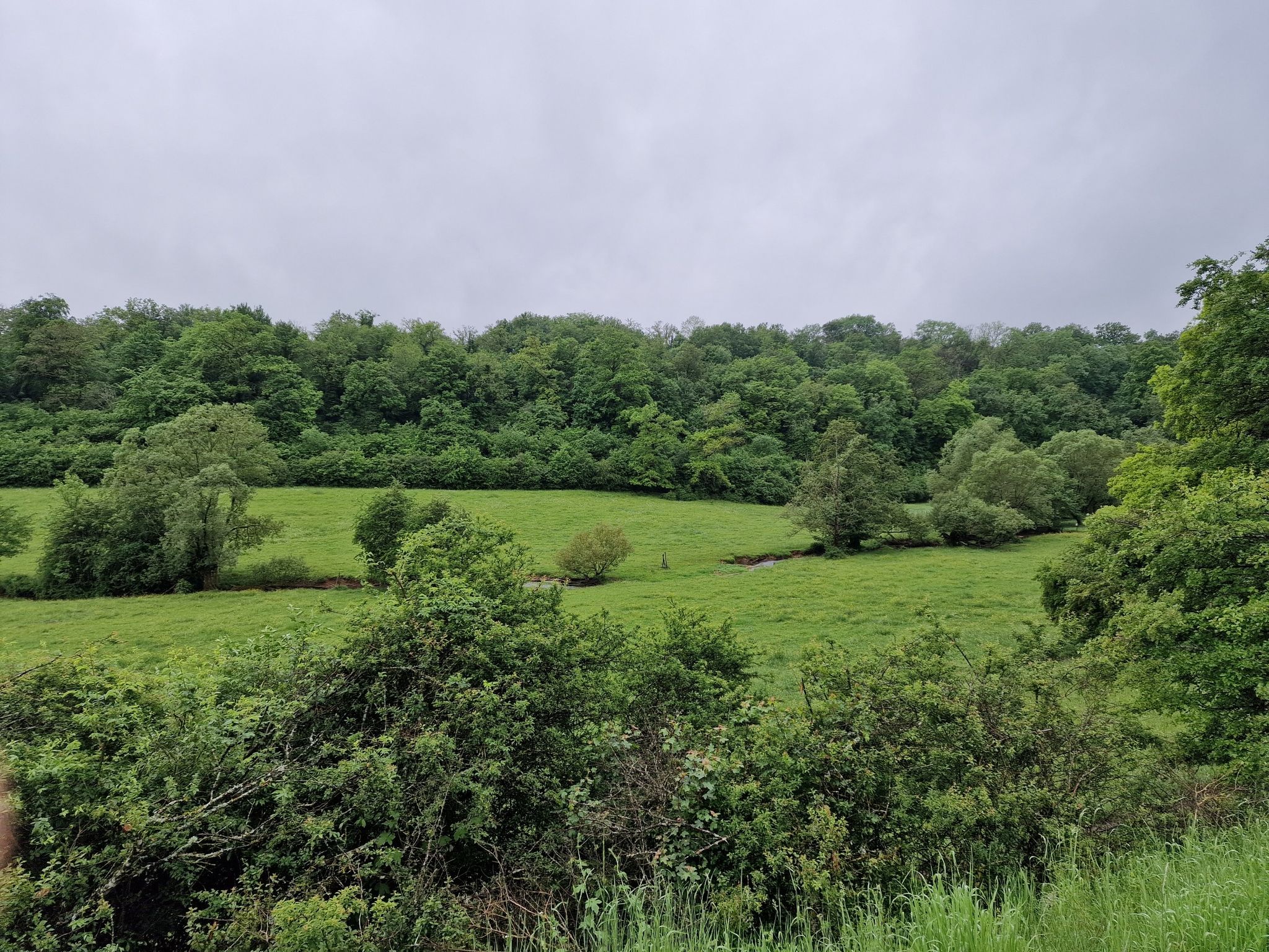 idyllische Gegend hier