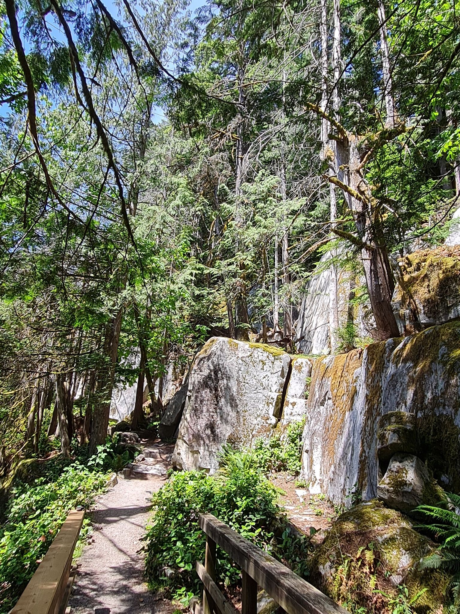 Imposing rocks along the forest trail