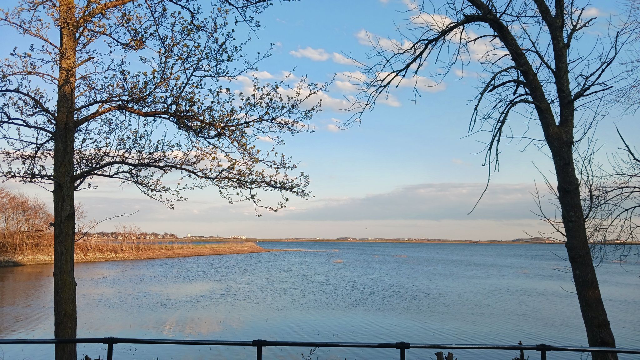 Wide water view framed by bare trees, with warm light and cloudy sky. - Mary Ellen Welch Greenway