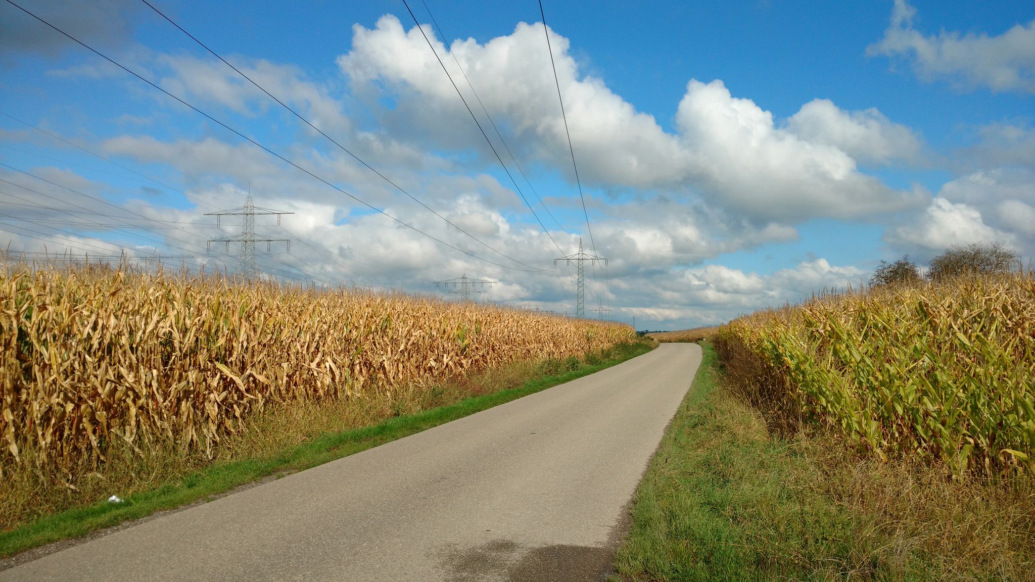 Hier gibt es viele schmale Straßen und Wege die man gut fahren kann