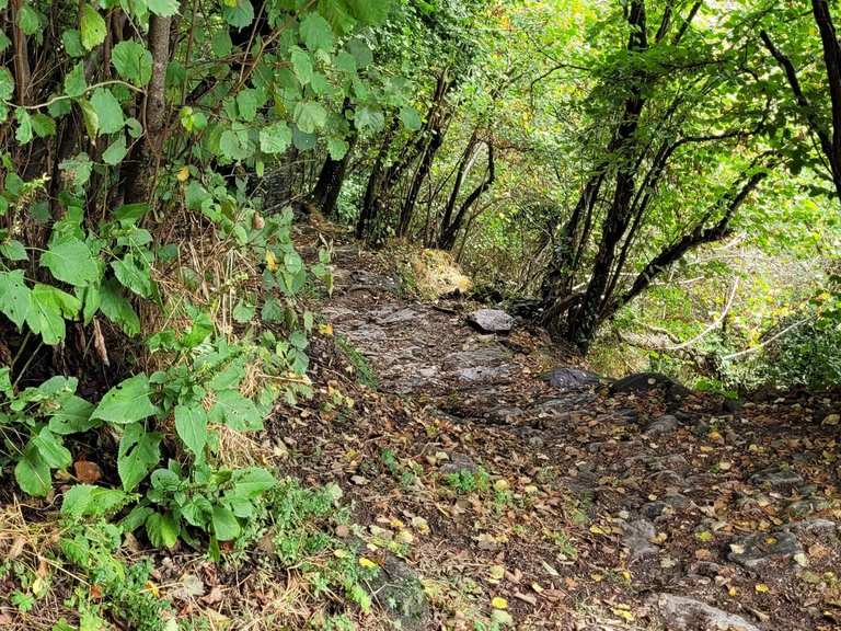 Wanderung Meran, Dorf Tirol, Hochmut | Wanderung | Komoot