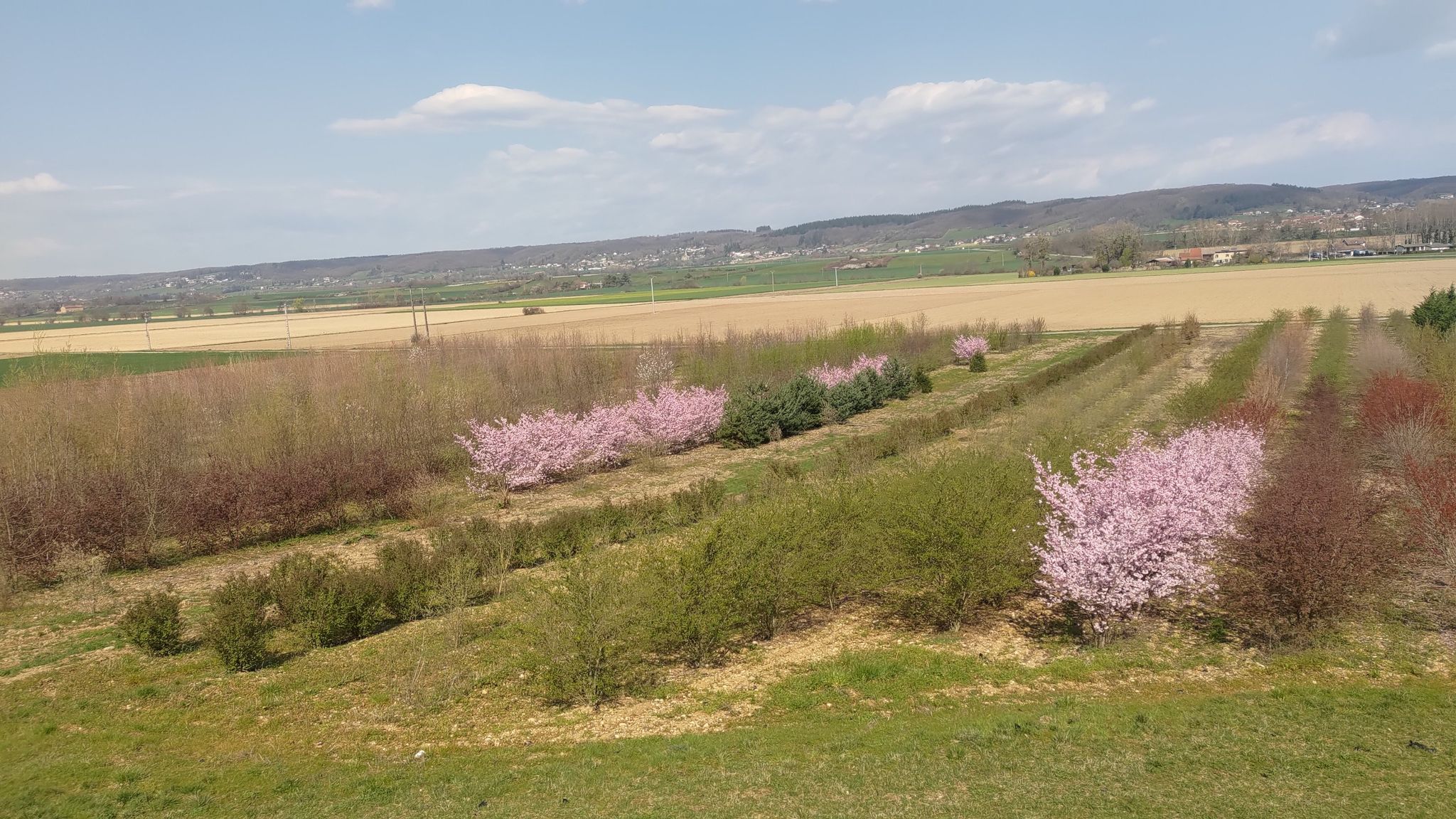 Der Frühling kommt