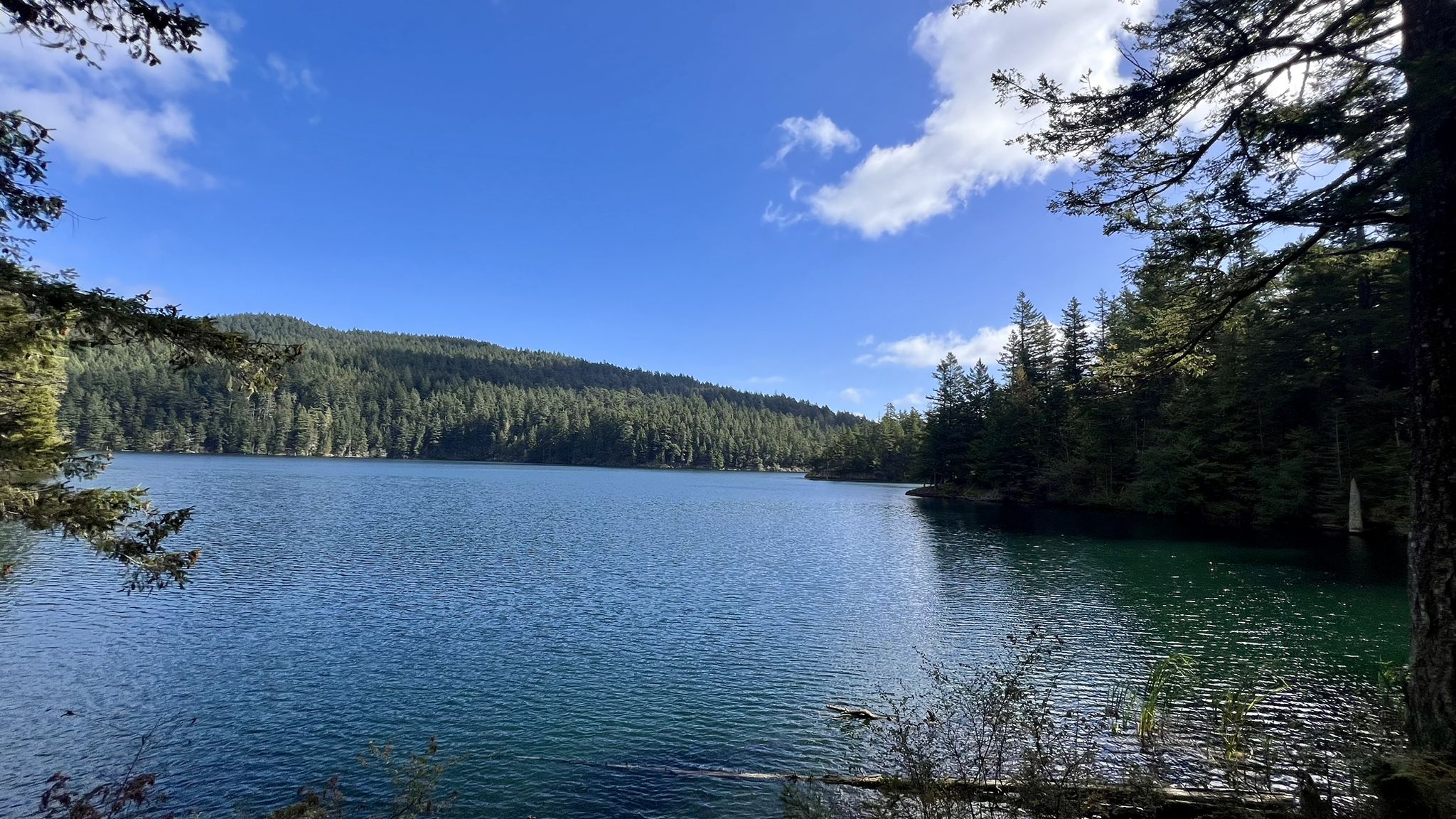 Sunny lake surrounded by dense green forest under a blue sky. - East Twin Lake – Twin Lakes loop from Moran State Park